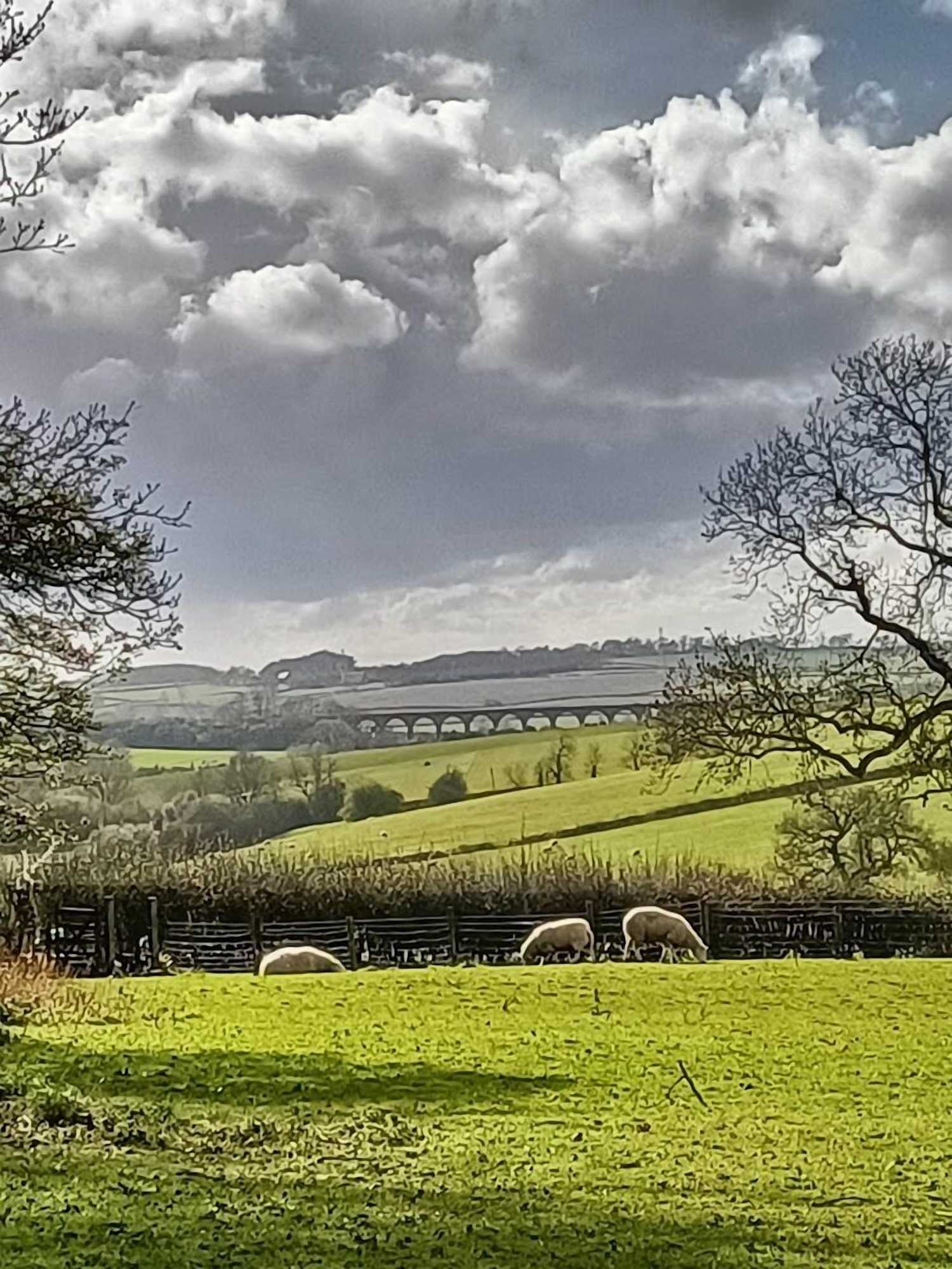 Gift card for The Old Stables