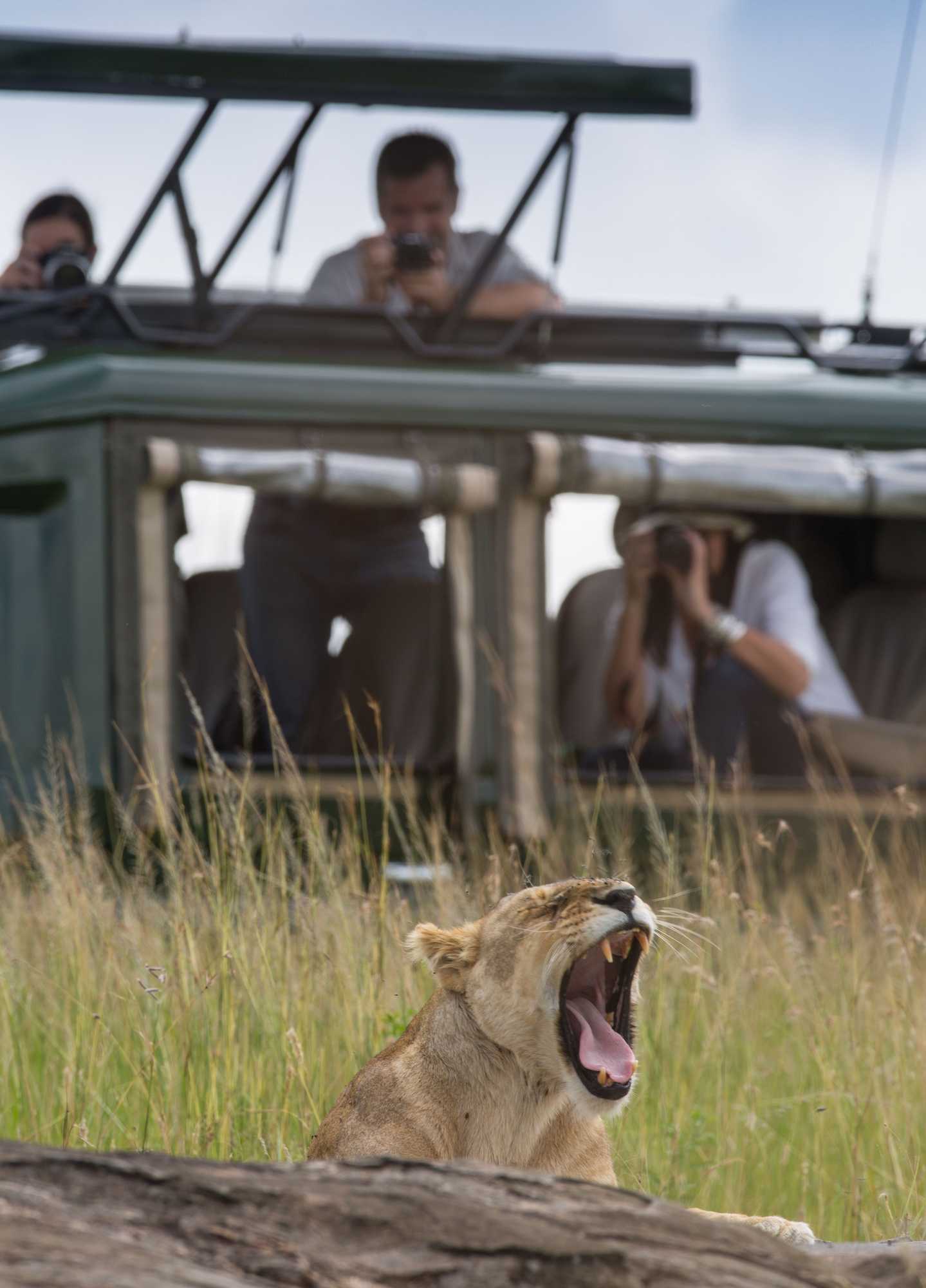 Gift card for Elewana Sand River Masai Mara Gift card for Elewana Sand River Masai Mara