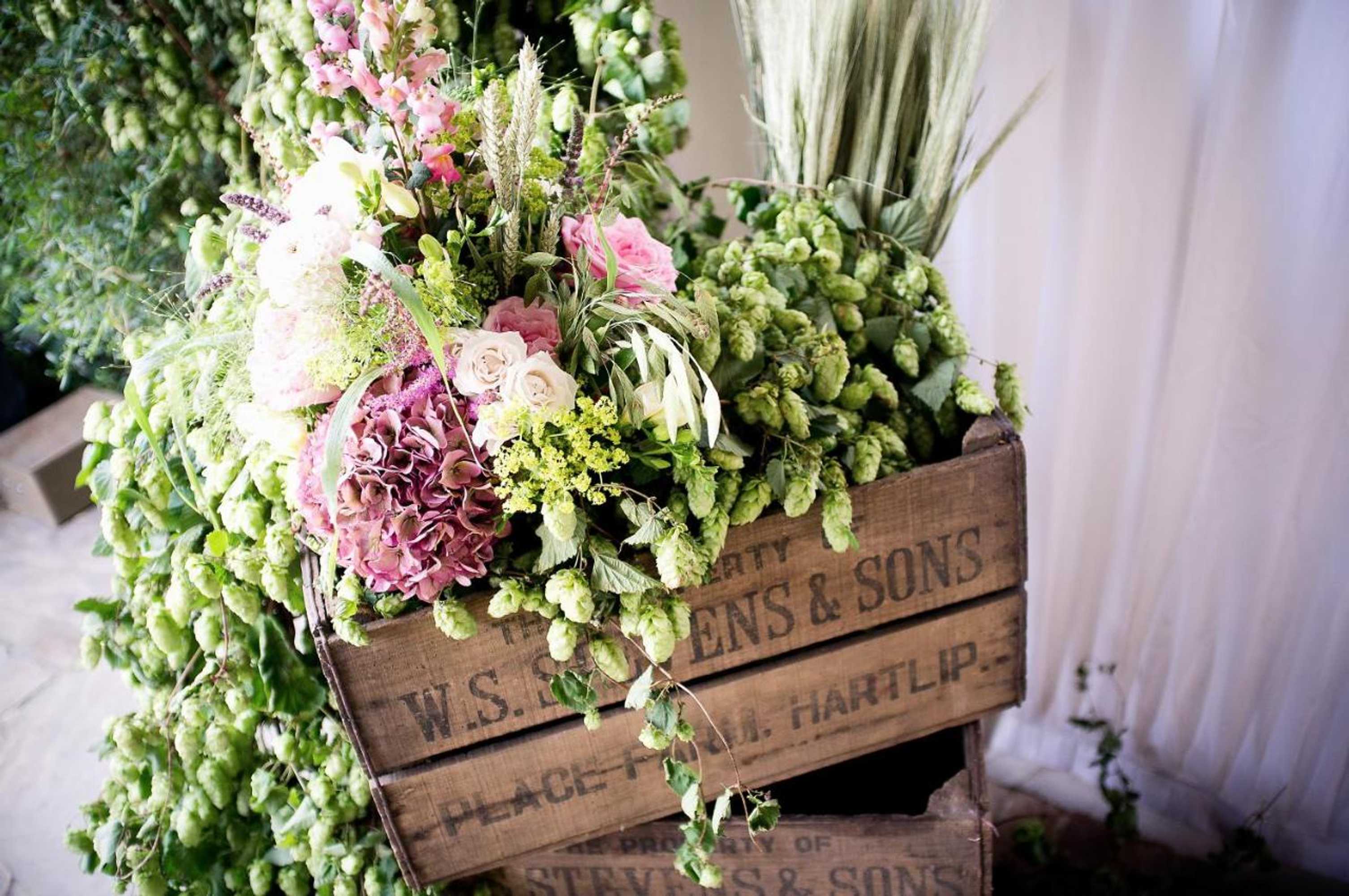 Gift card for Frasers