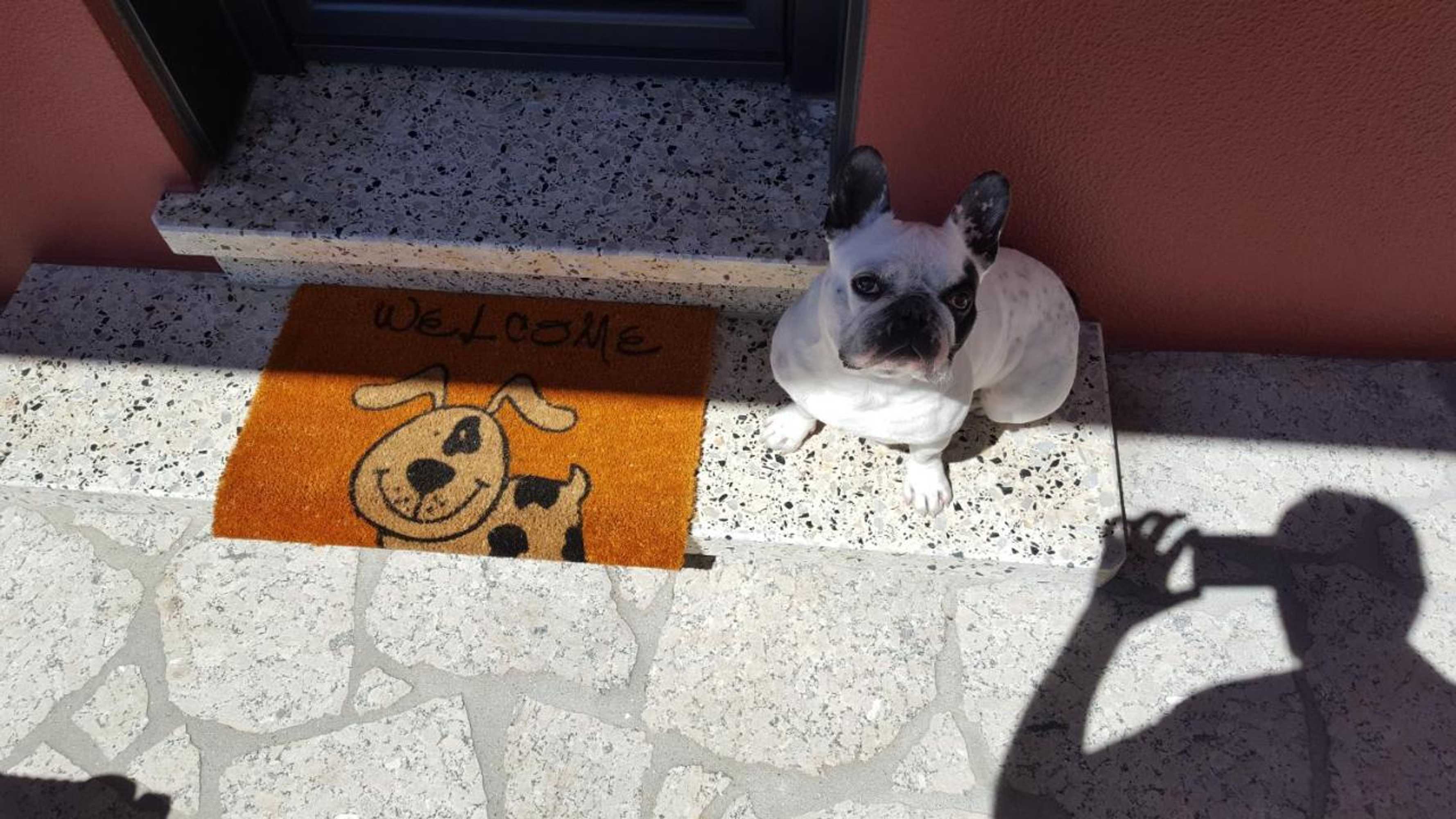 Gift card for Casa Rural Oscar