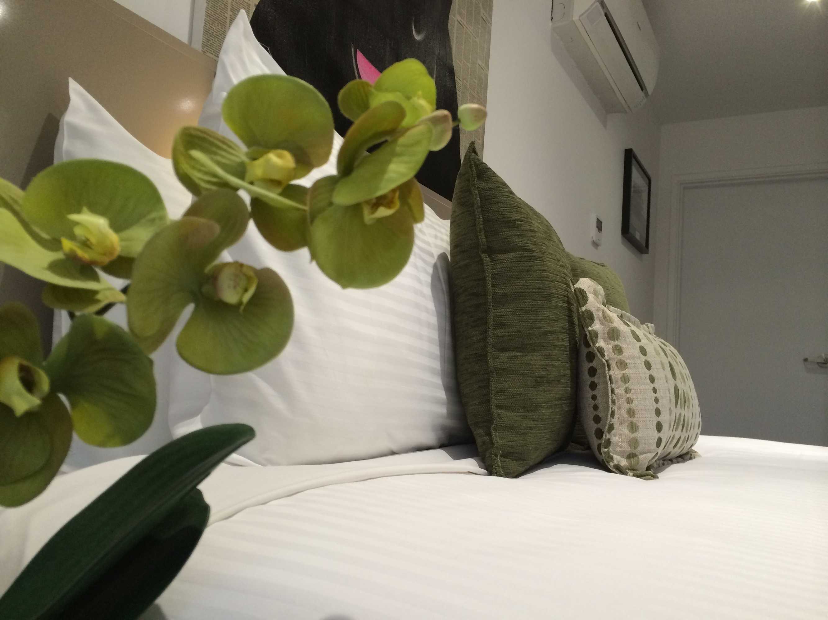 Gift card for North Adelaide Boutique Stays Accommodation Gift card for North Adelaide Boutique Stays Accommodation