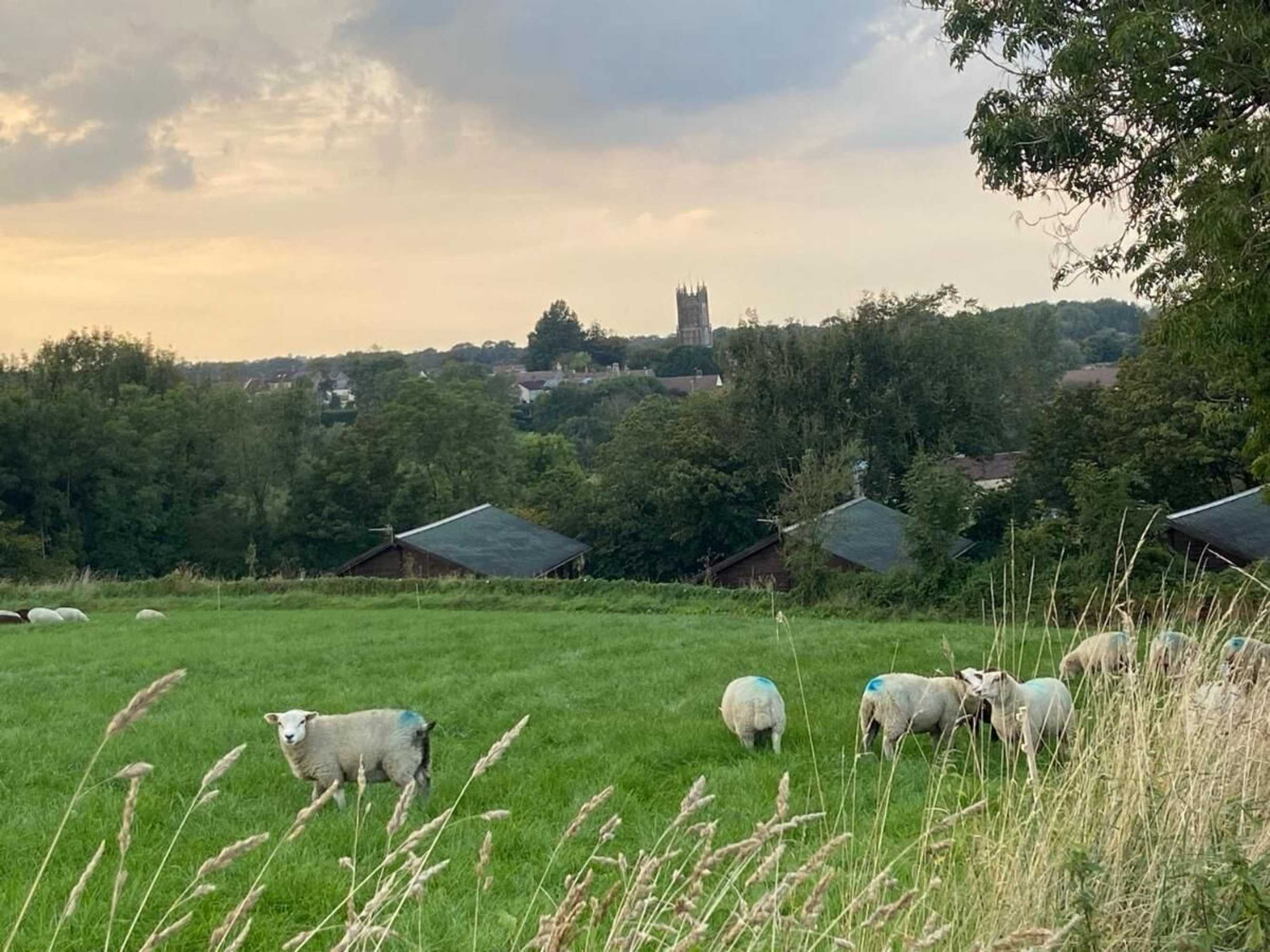 Gift card for Hollybush Lodges