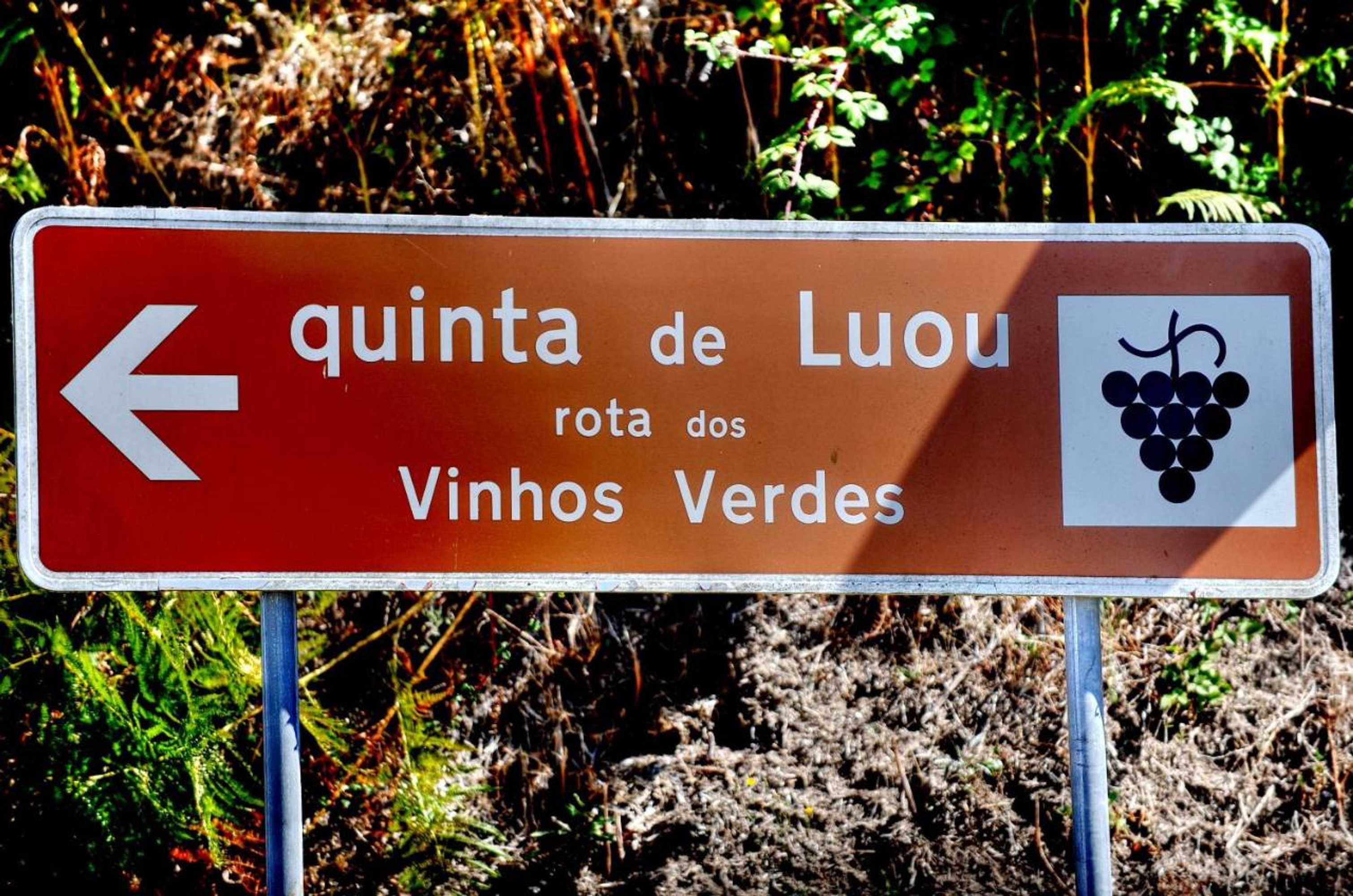 Gift card for Quinta de Luou