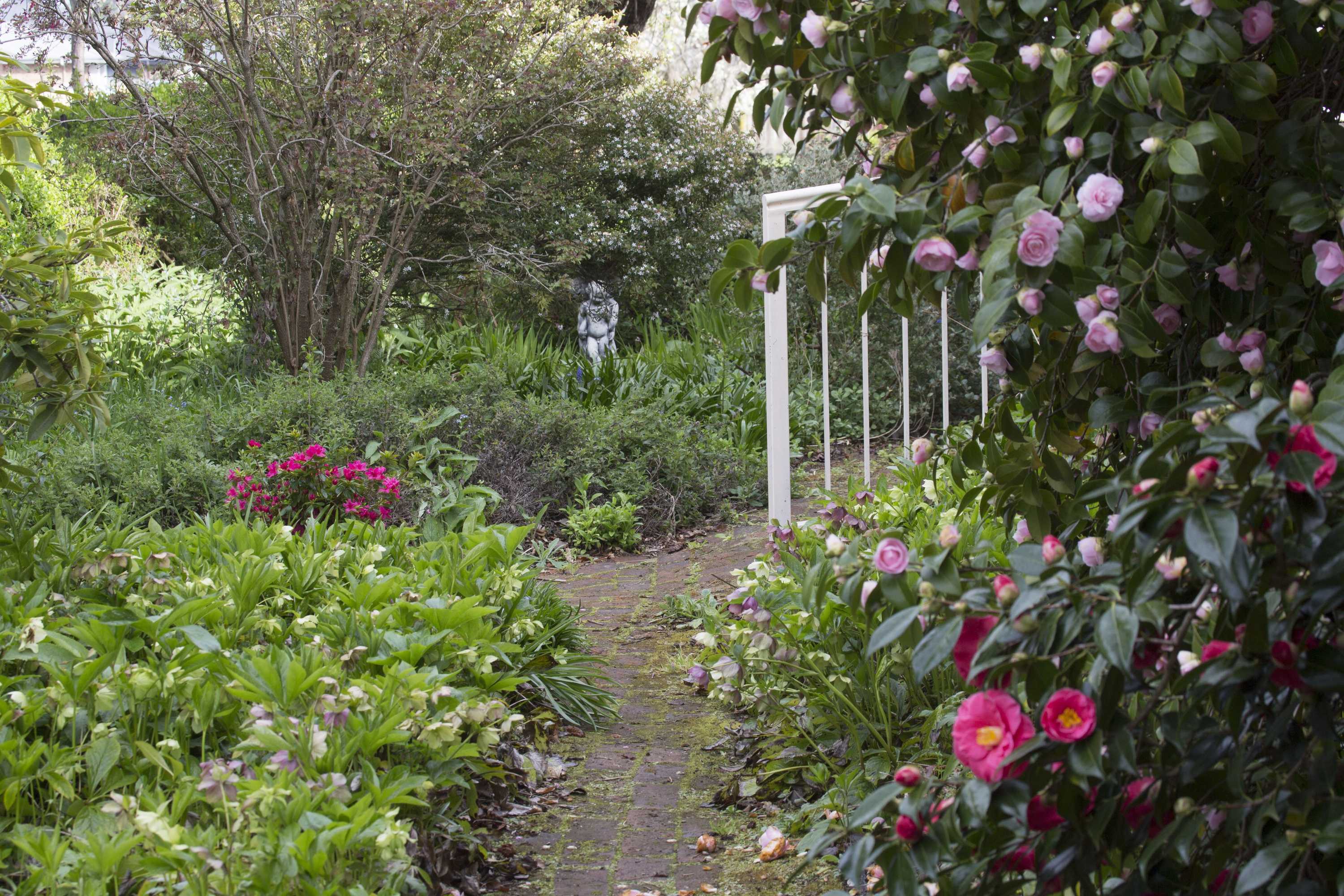 Gift card for The Racecourse Inn