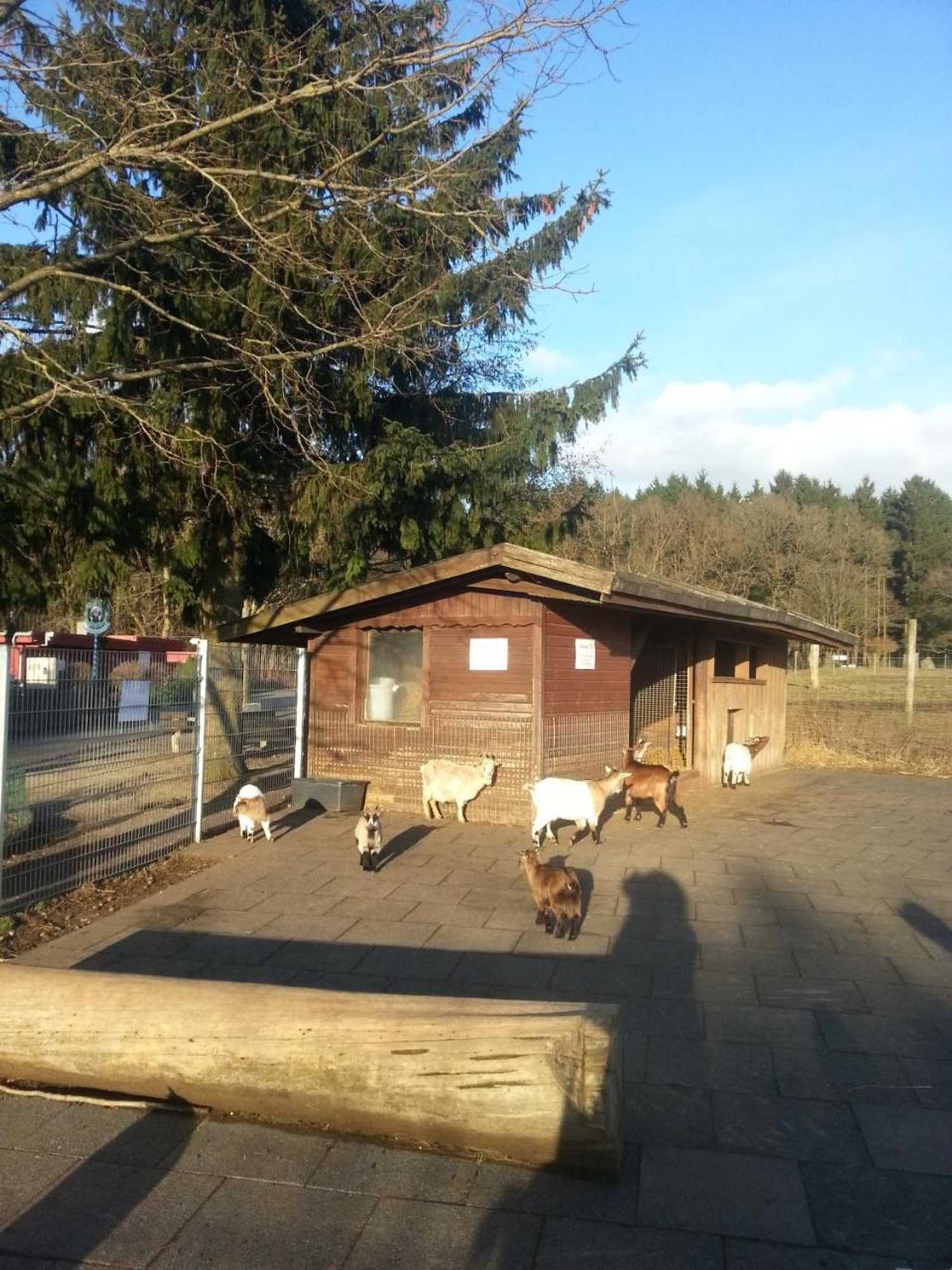 Gift card for Ferienwohnungen Angela