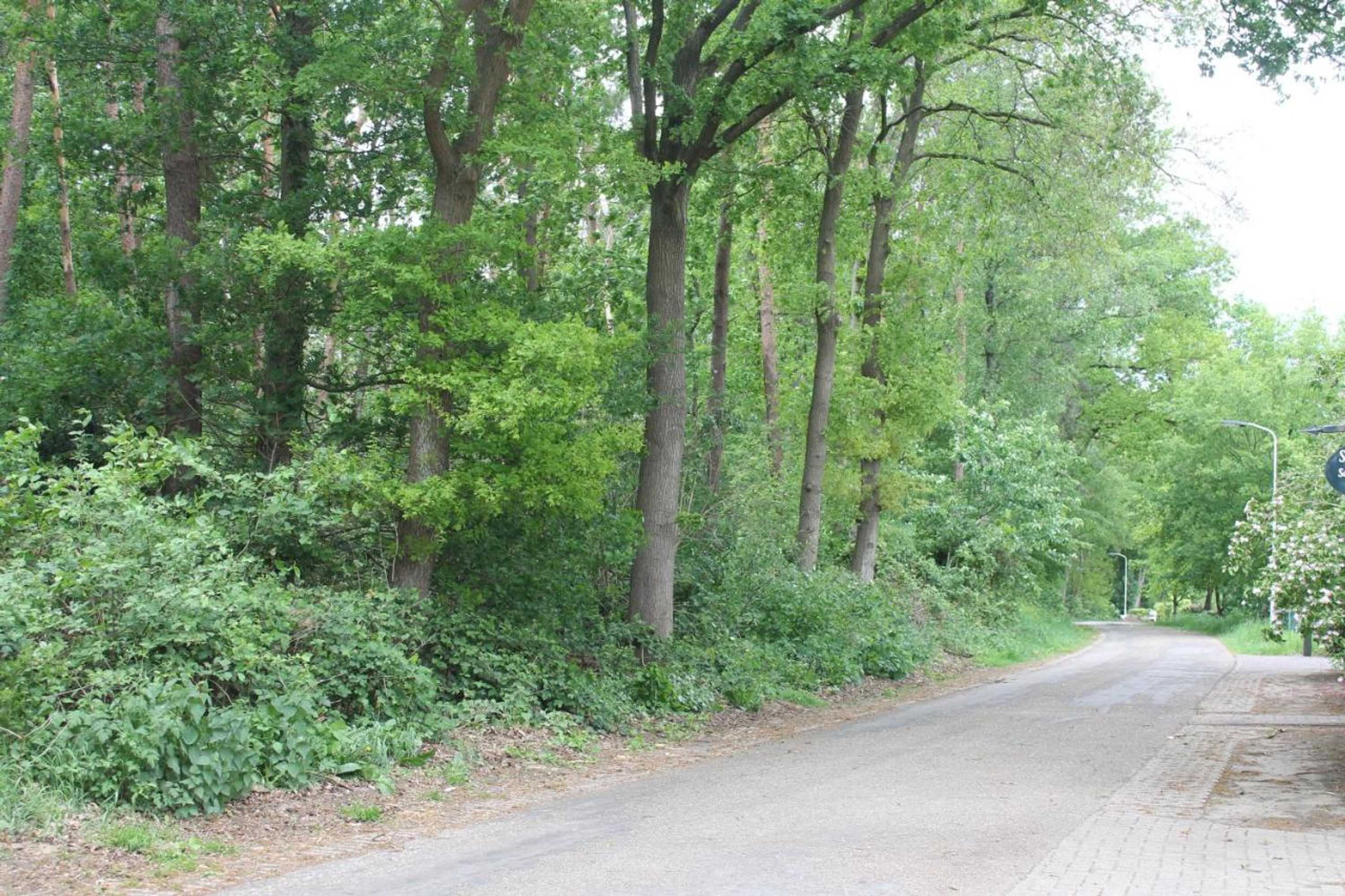 Gift card for Gastenverblijf Peppelmate