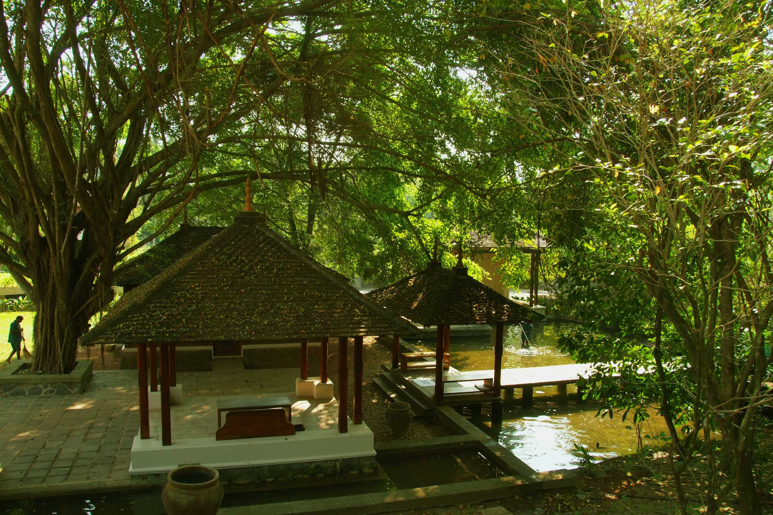 Gift card for Jetwing Saman Villas, A Luxury Reserve - Adults Only Gift card for Jetwing Saman Villas, A Luxury Reserve - Adults Only