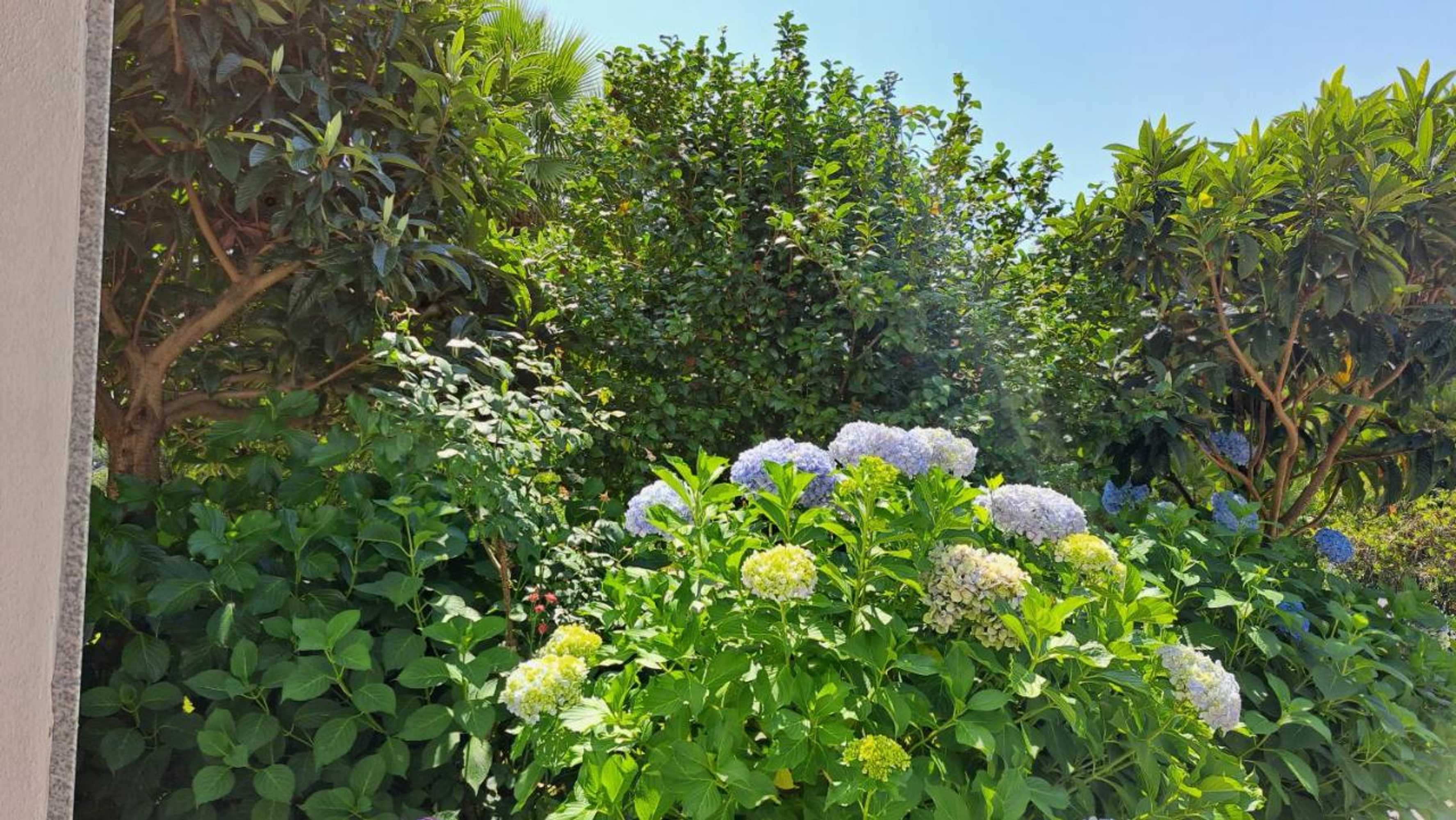 Gift card for Casa Pinho