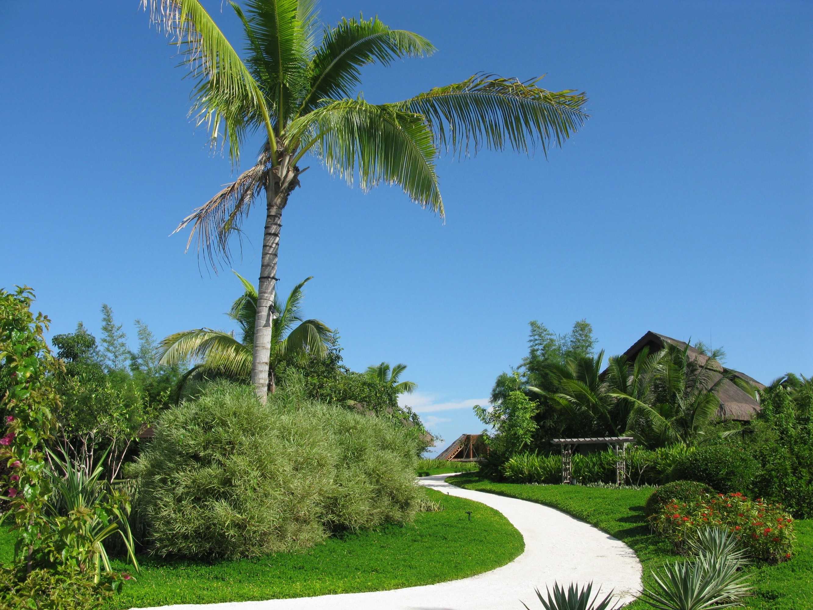 Gift card for Eskaya Beach Resort And Spa