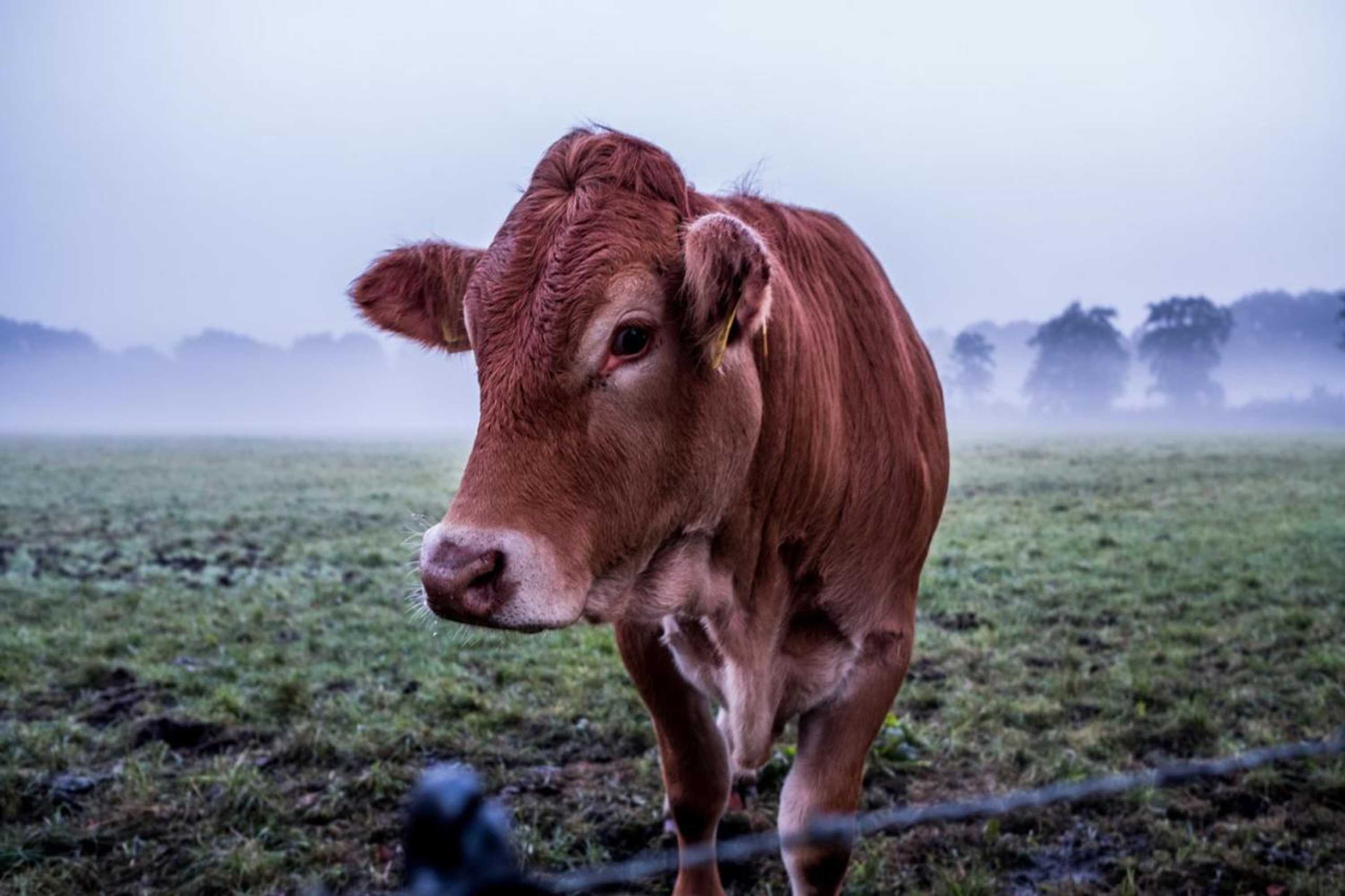 Gift card for Het Findament Tiny House