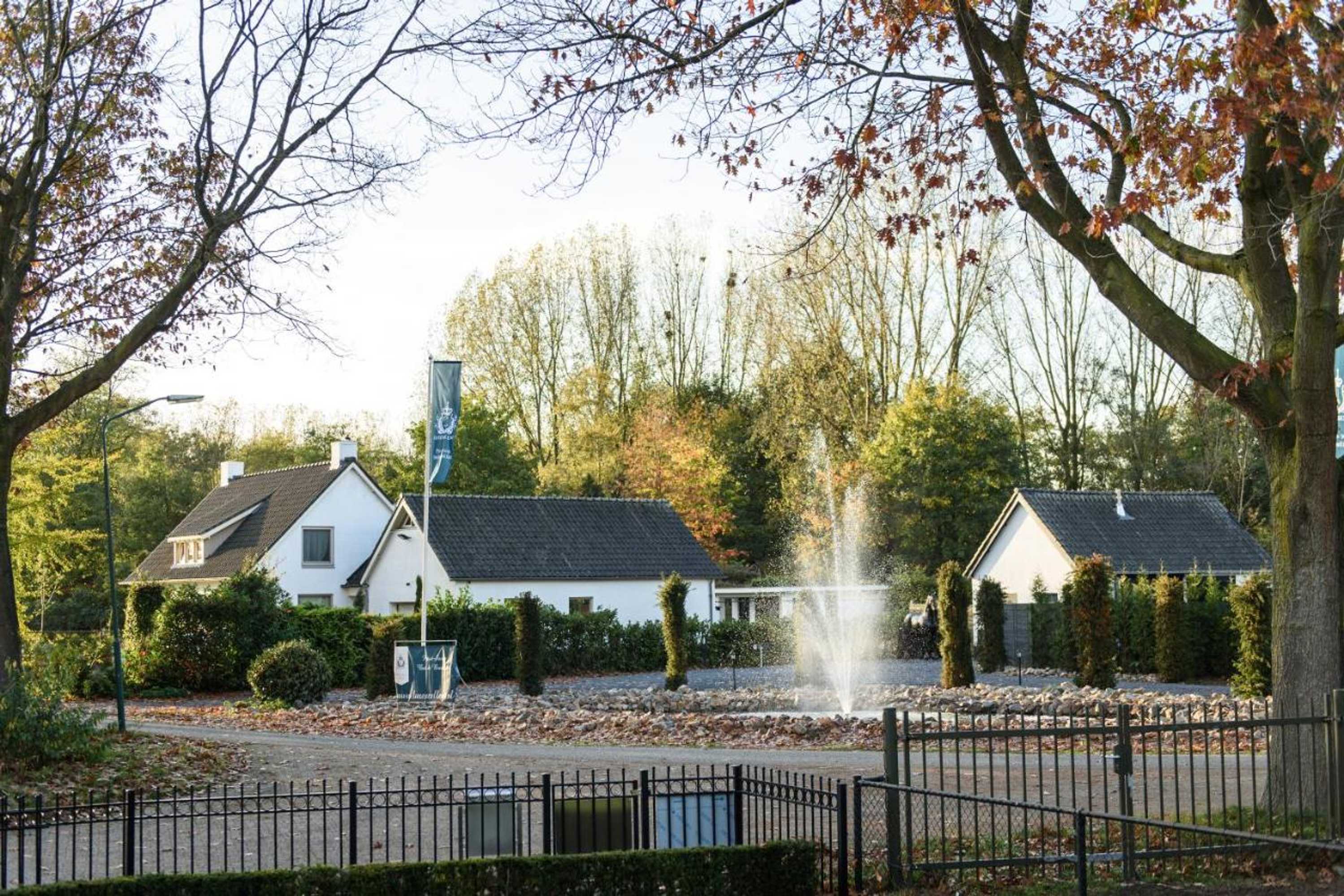 Gift card for Luxexcellent Super Suite