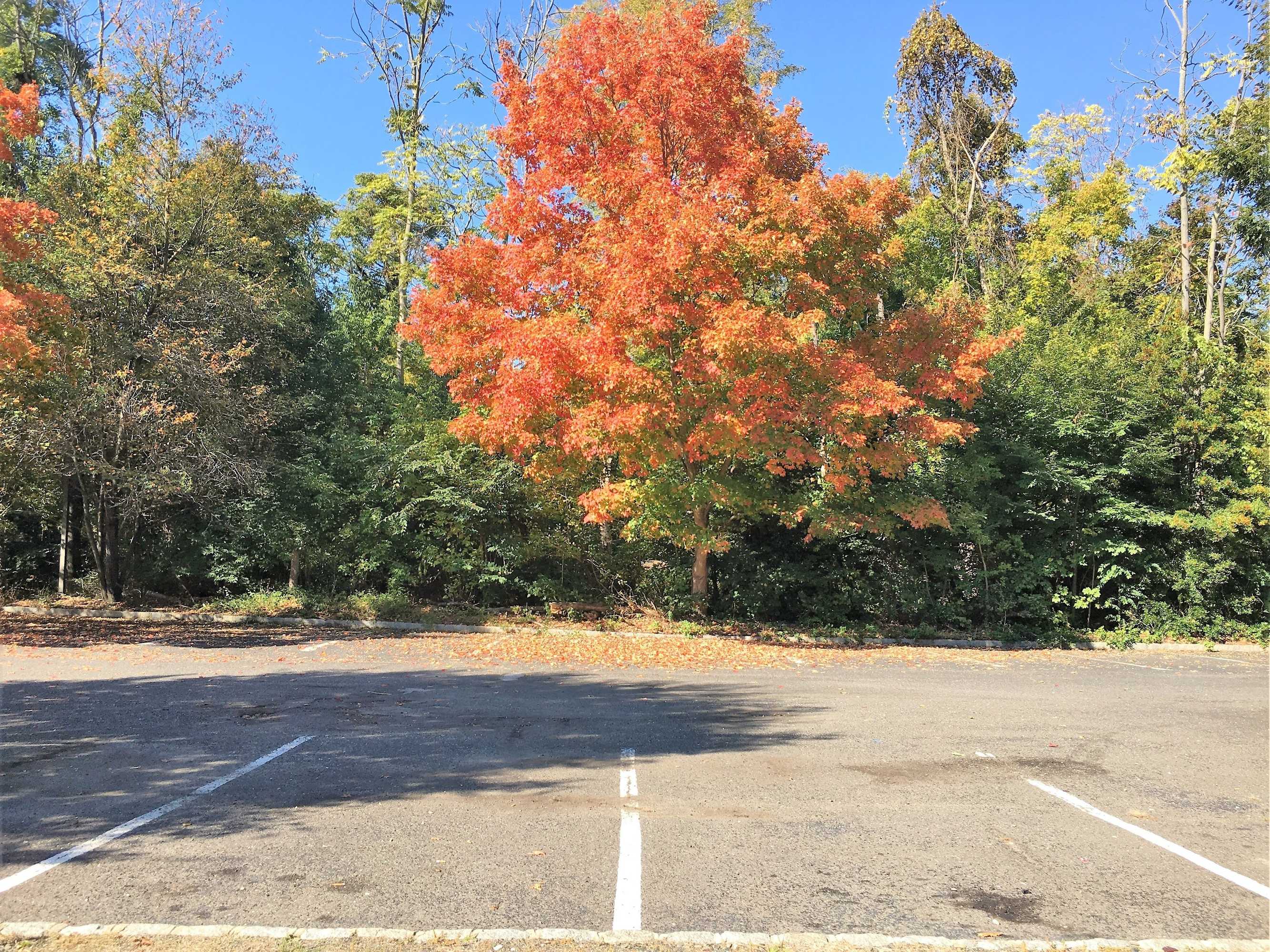 Gift card for Colts Neck Inn Hotel