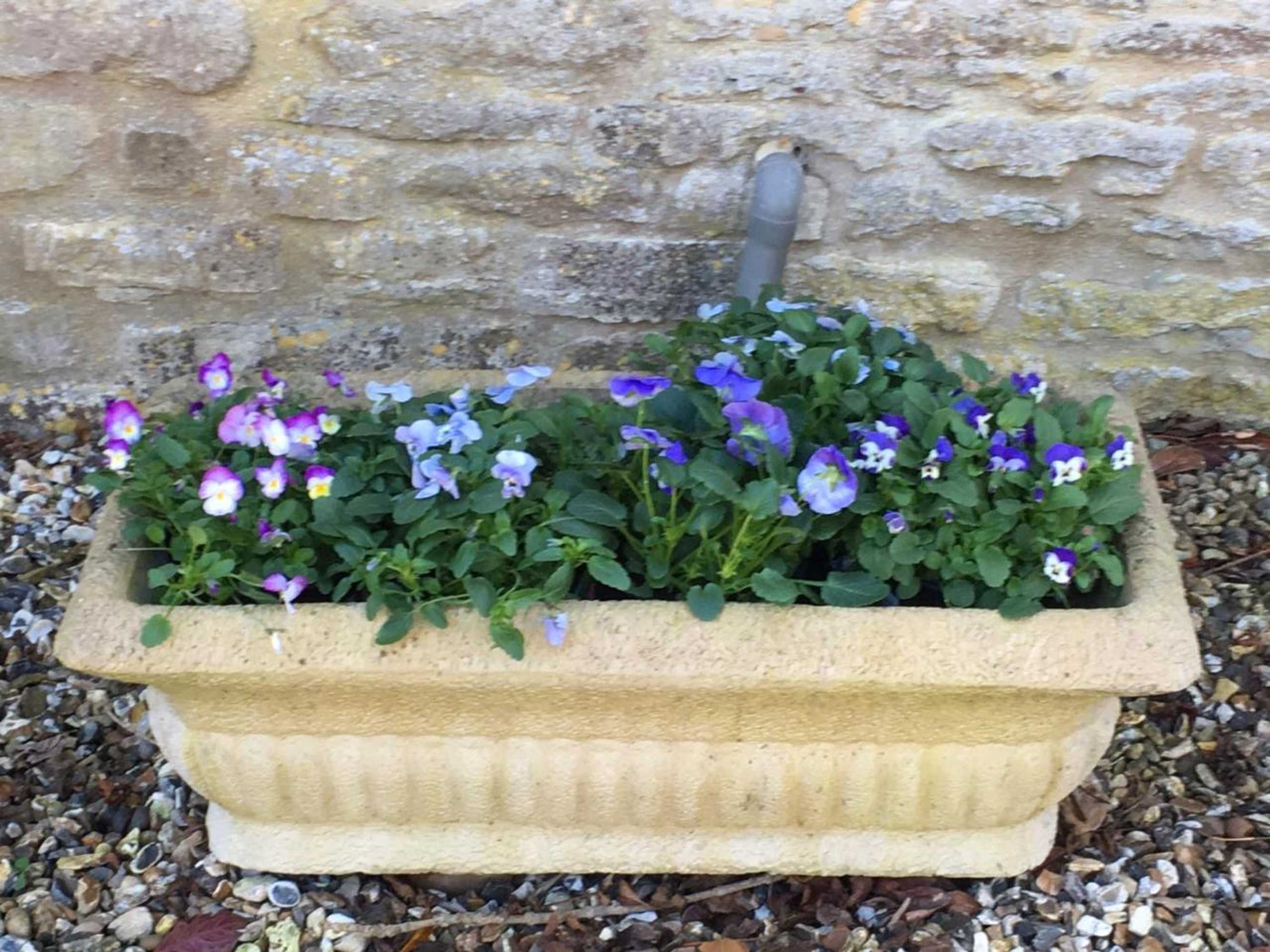 Gift card for The Long House Bed & Breakfast