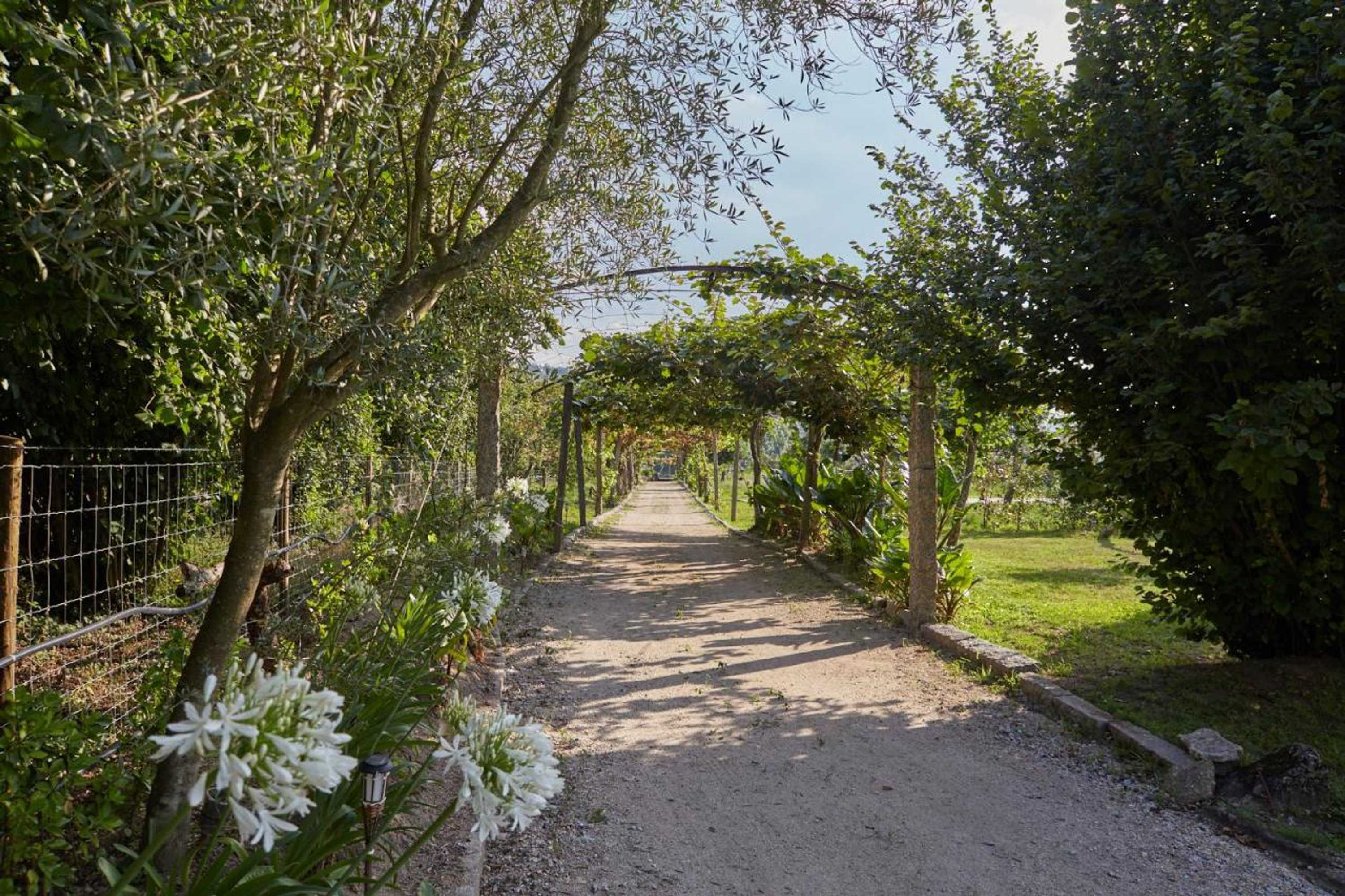 Gift card for Casa de Cardido