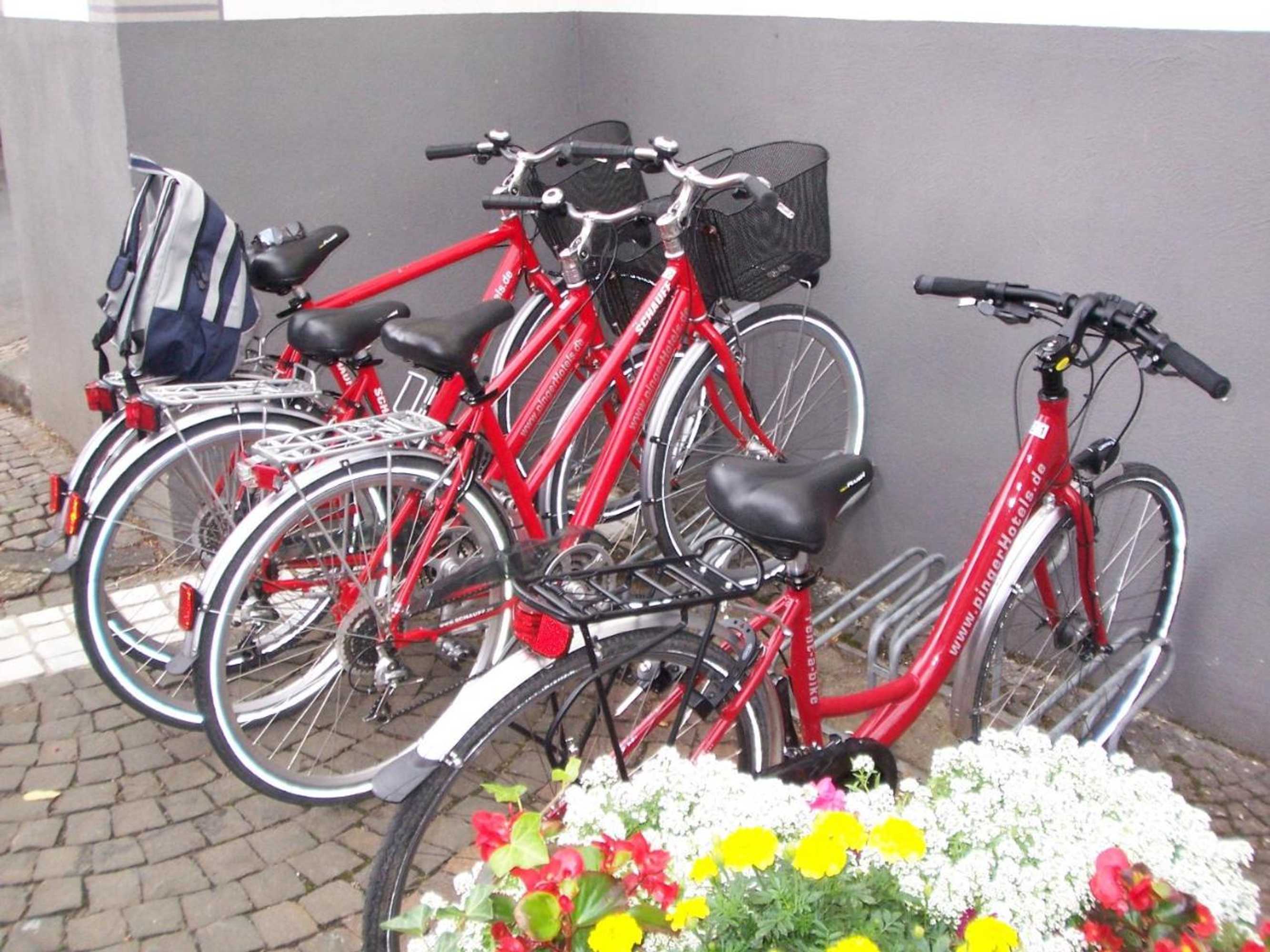 Gift card for Hotel Pinger