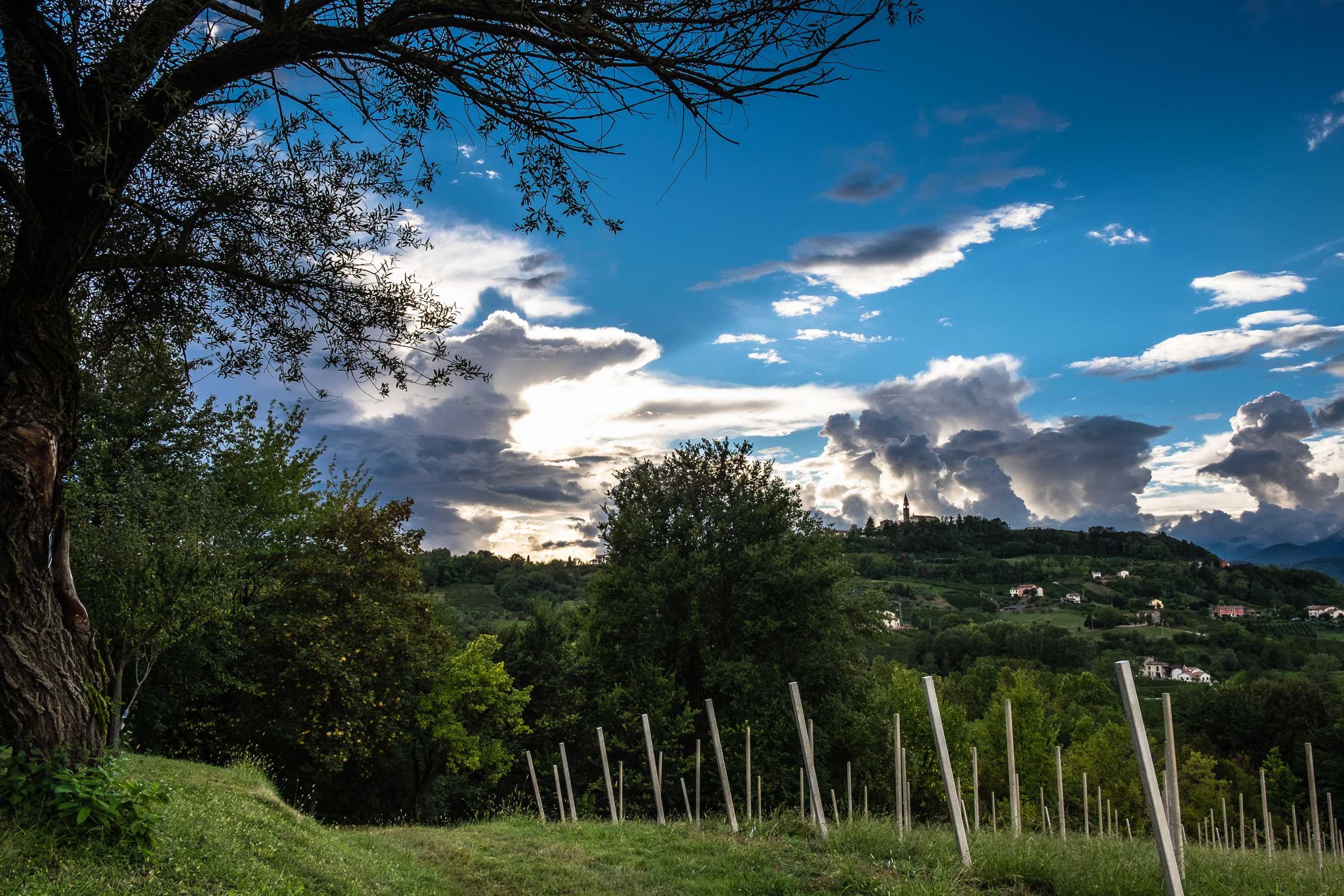 Gift card for Agriturismo Le Spezie Gift card for Agriturismo Le Spezie