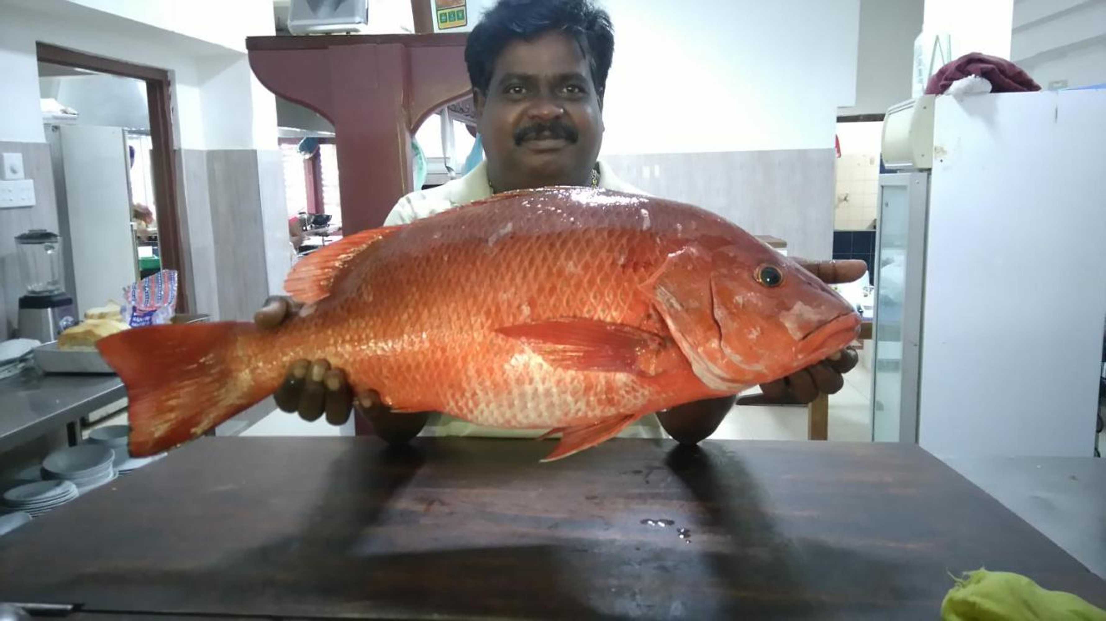 Gift card for Pahalage Guesthouse