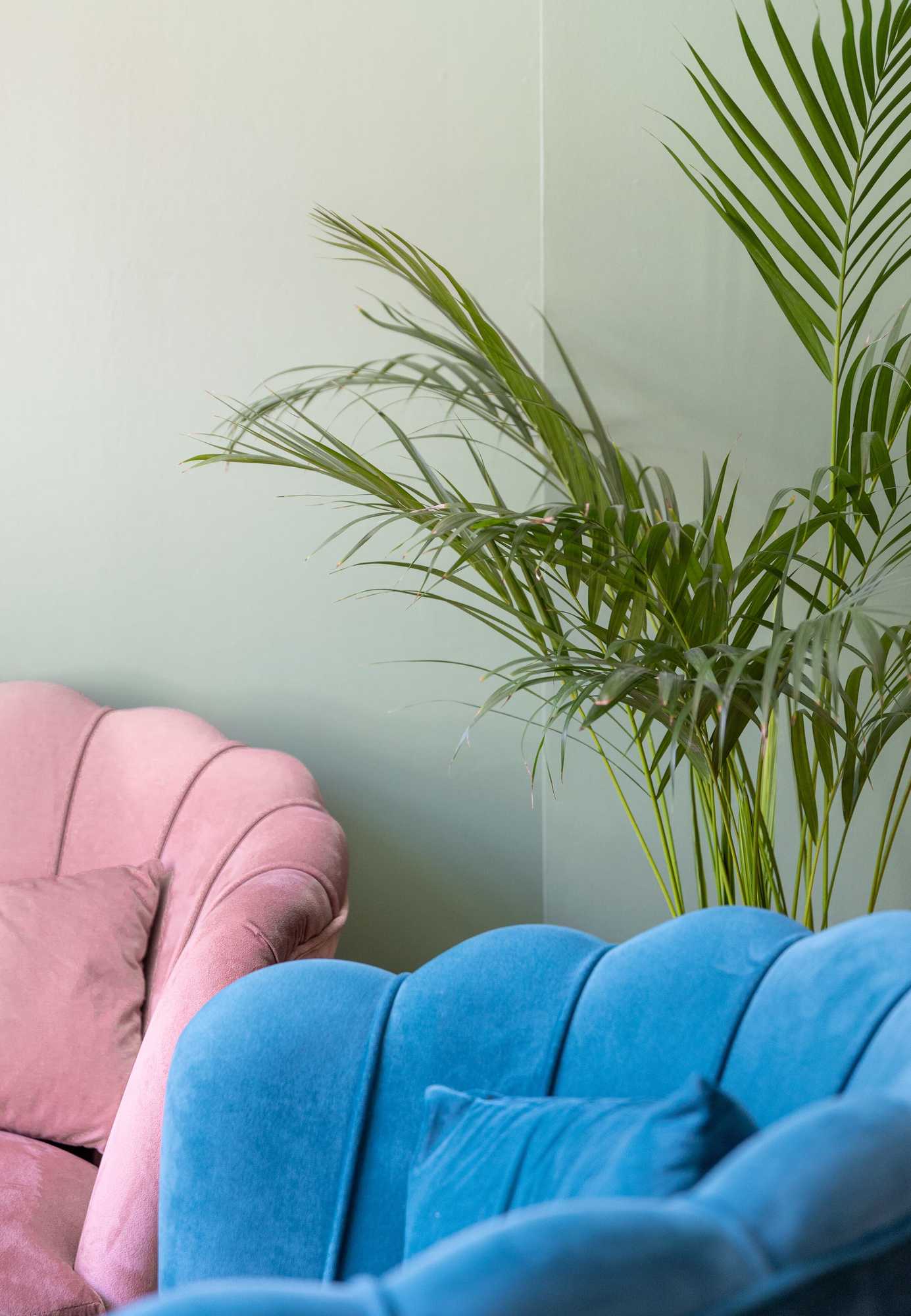 Gift card for House Arundel