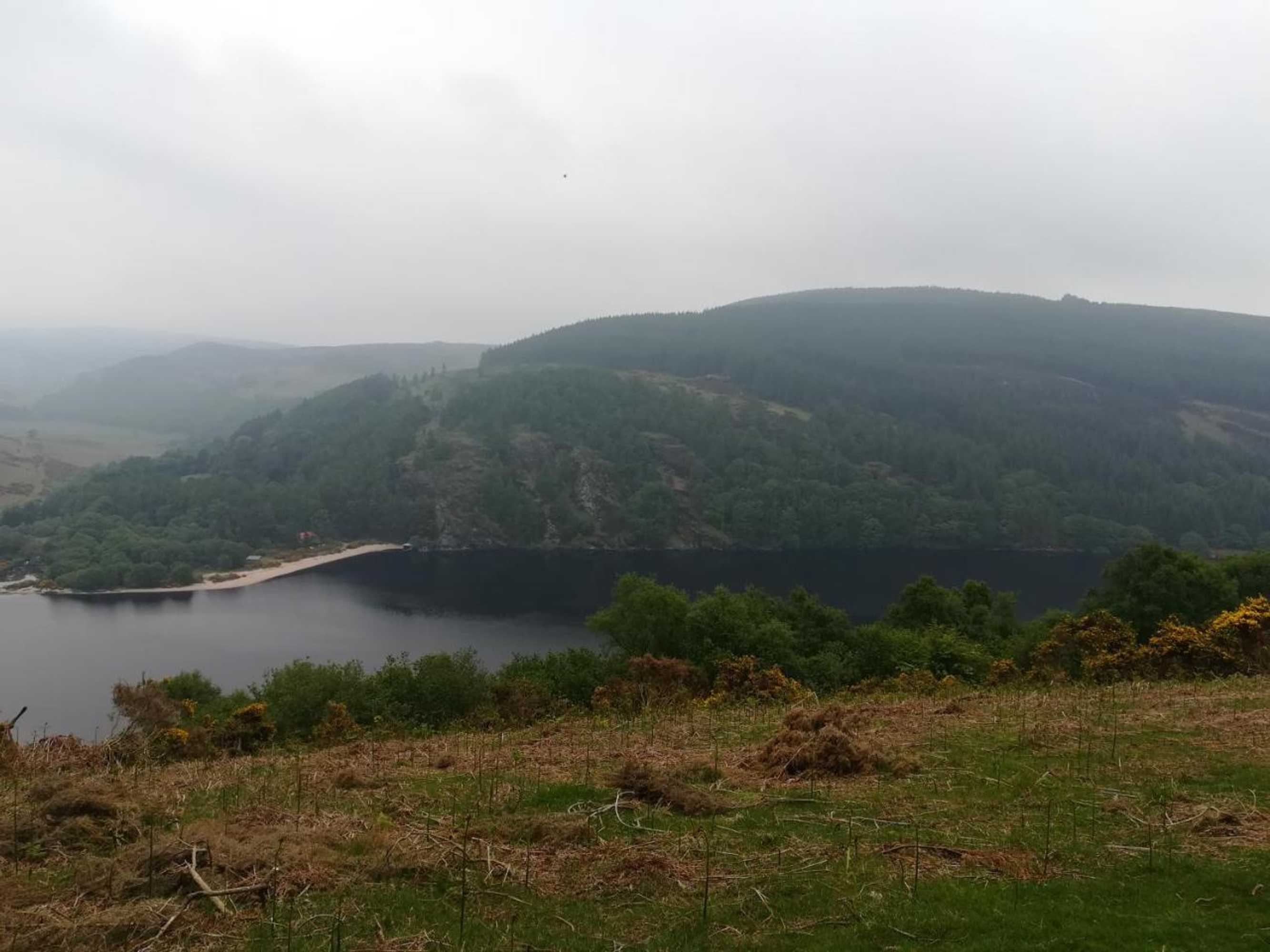 Gift card for Relaxing Space.