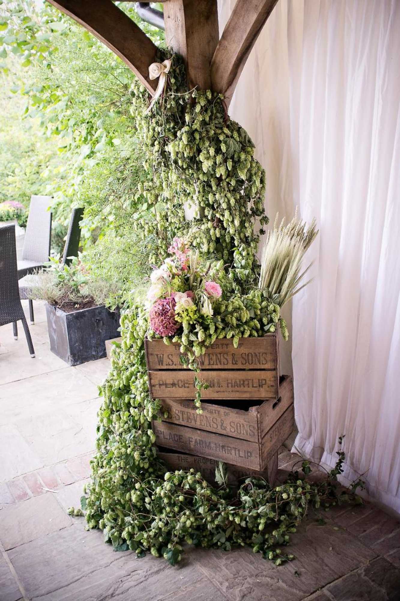 Gift card for Frasers