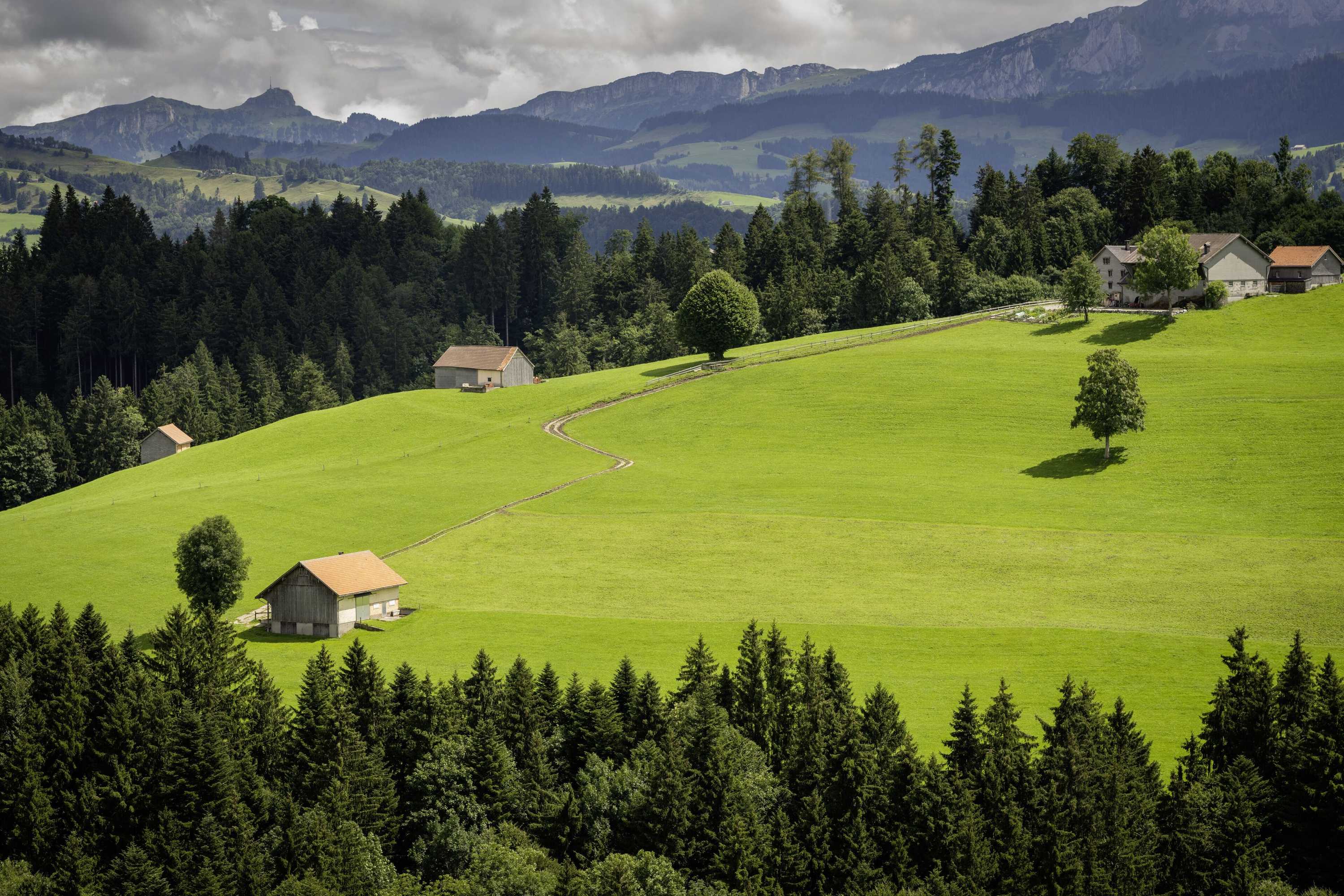 Gift card for Vegan Health Hotel Sonnenberg Gift card for Vegan Health Hotel Sonnenberg