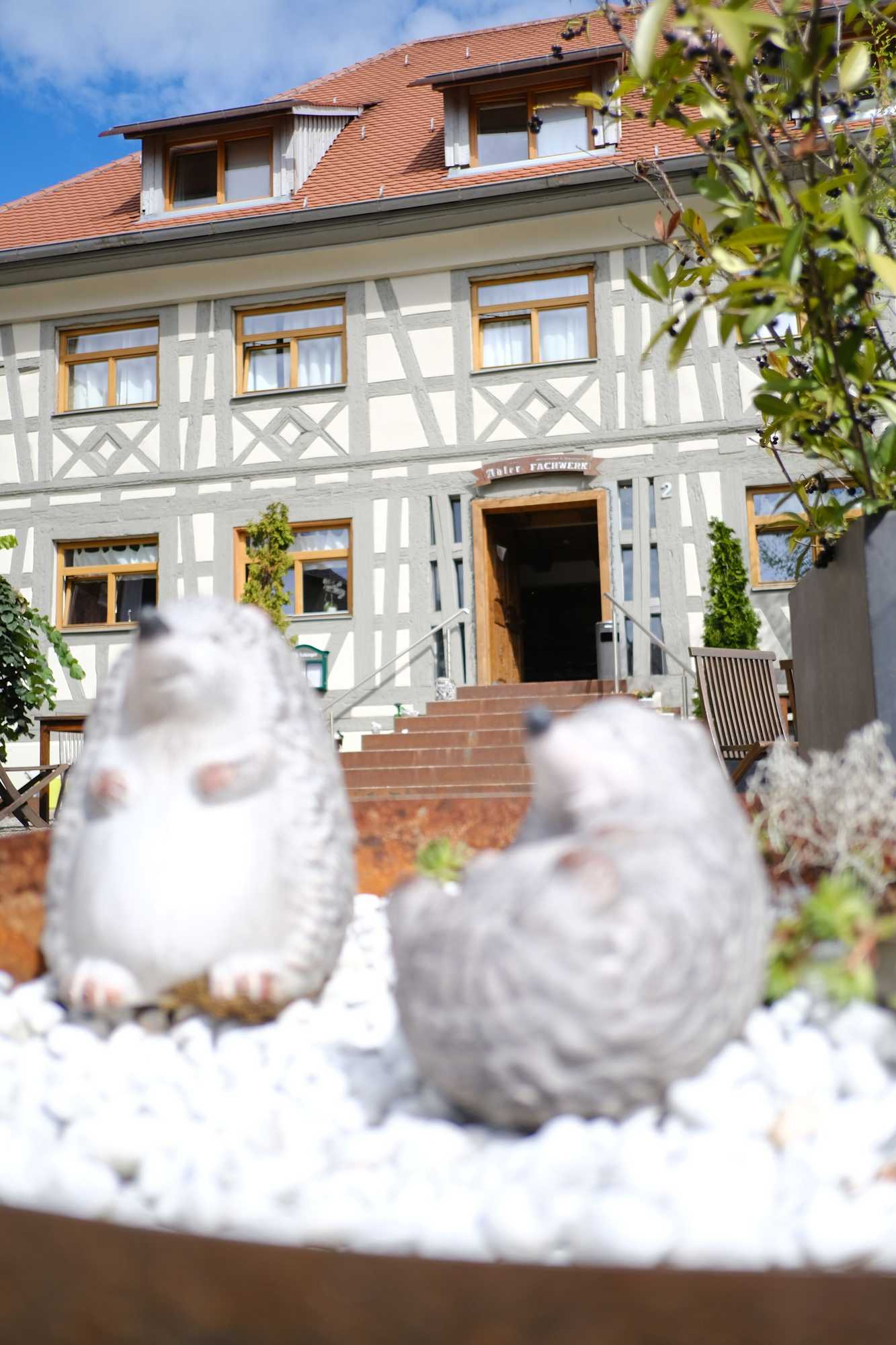 Gift card for Hotel Adler Ittendorf - Hotel Garni - 24h Self-Checkin Gift card for Hotel Adler Ittendorf - Hotel Garni - 24h Self-Checkin