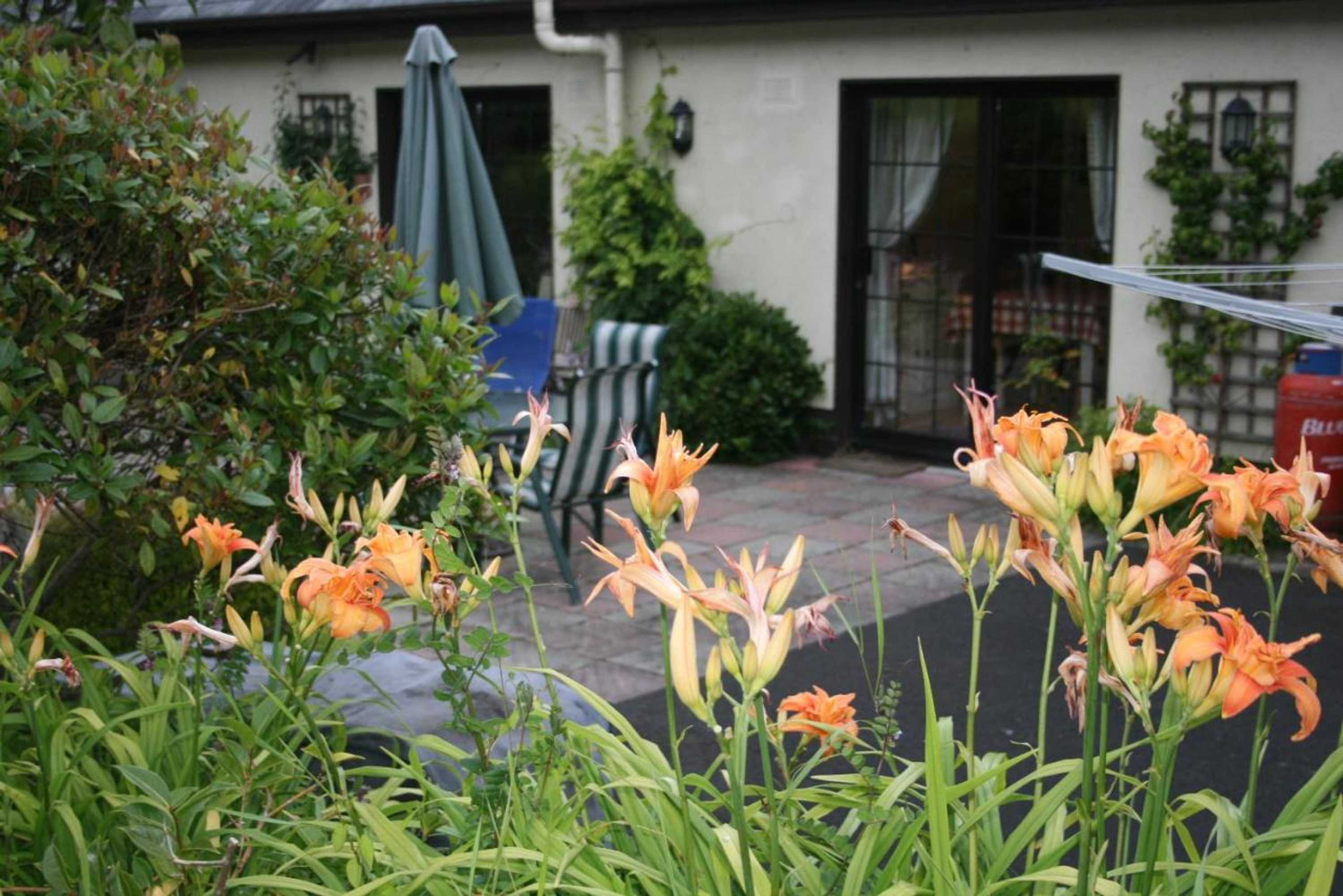 Gift card for Dunaree Bunratty