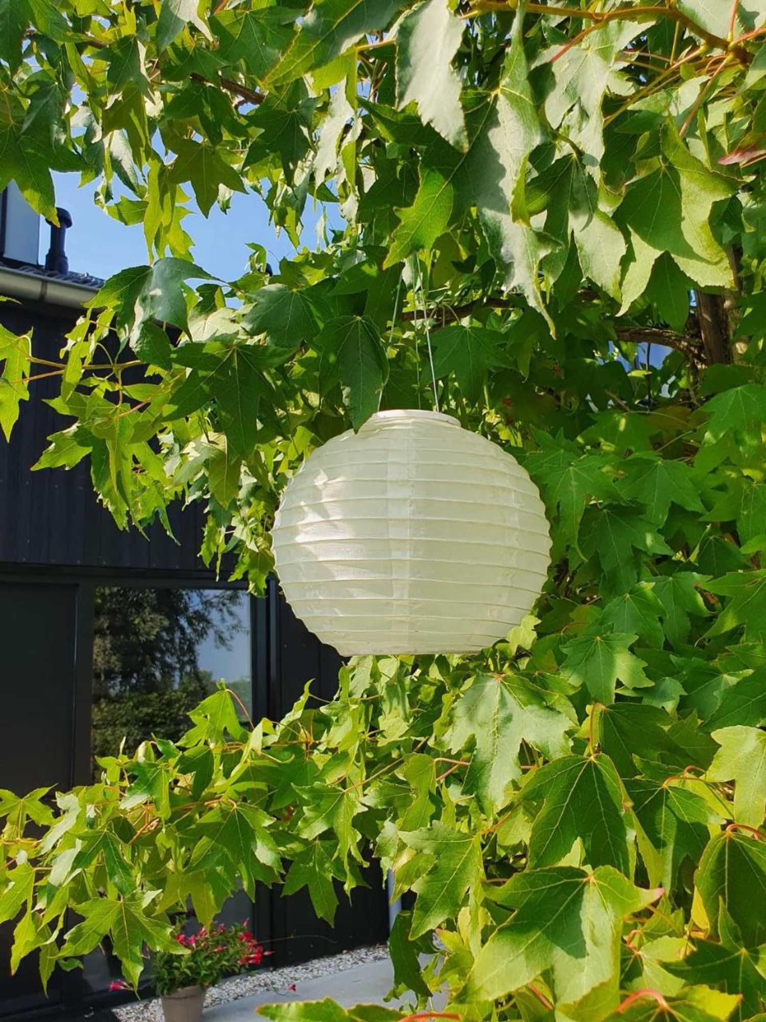 Gift card for @thelodge