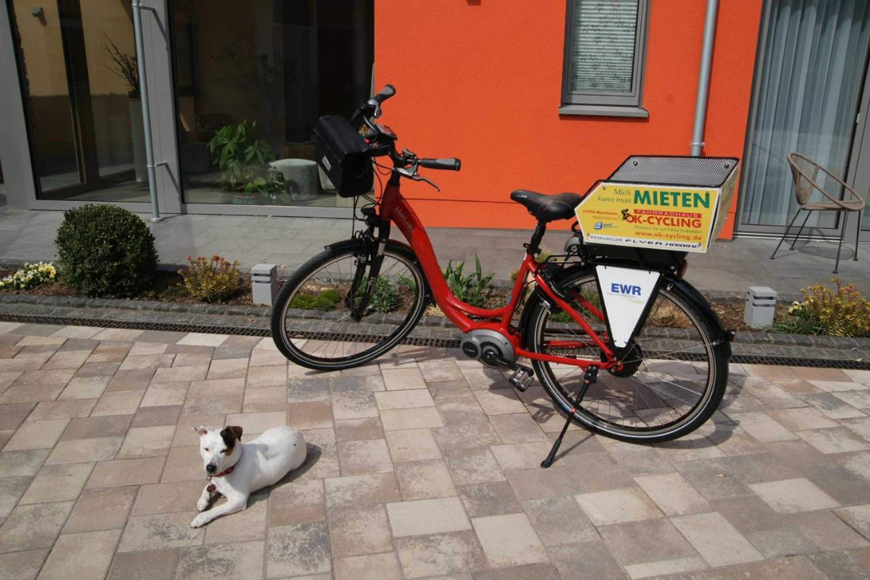 Gift card for Landhotel im Klostereck Strubel-Roos