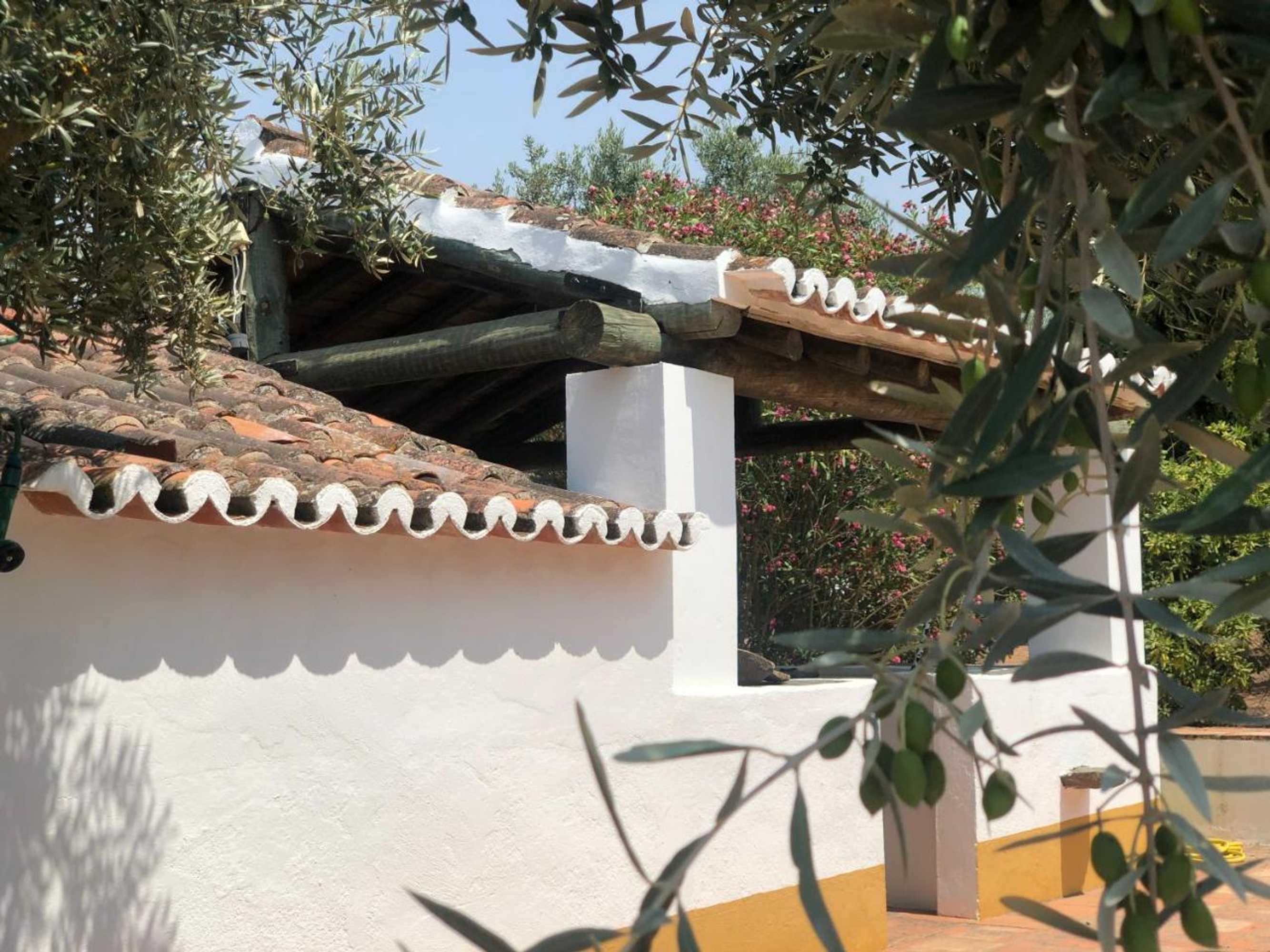 Gift card for Monte Papa Toucinho