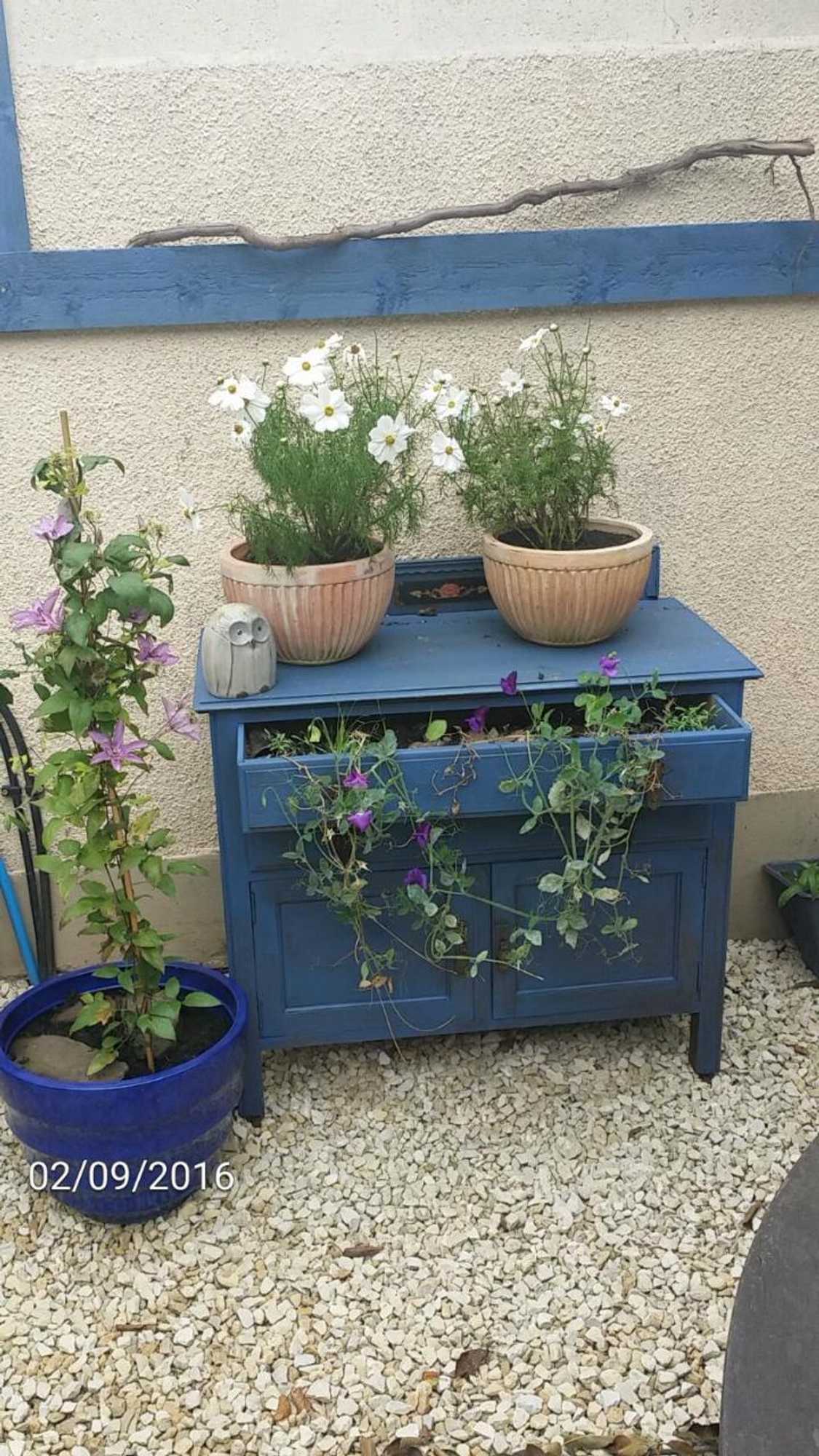 Gift card for Cherryberry Lodges