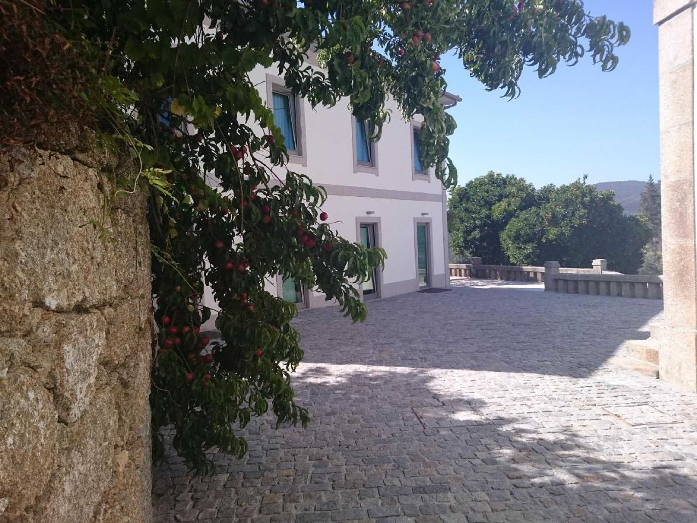 Gift card for Solar Guesthouse Olival da Vinha Gift card for Solar Guesthouse Olival da Vinha