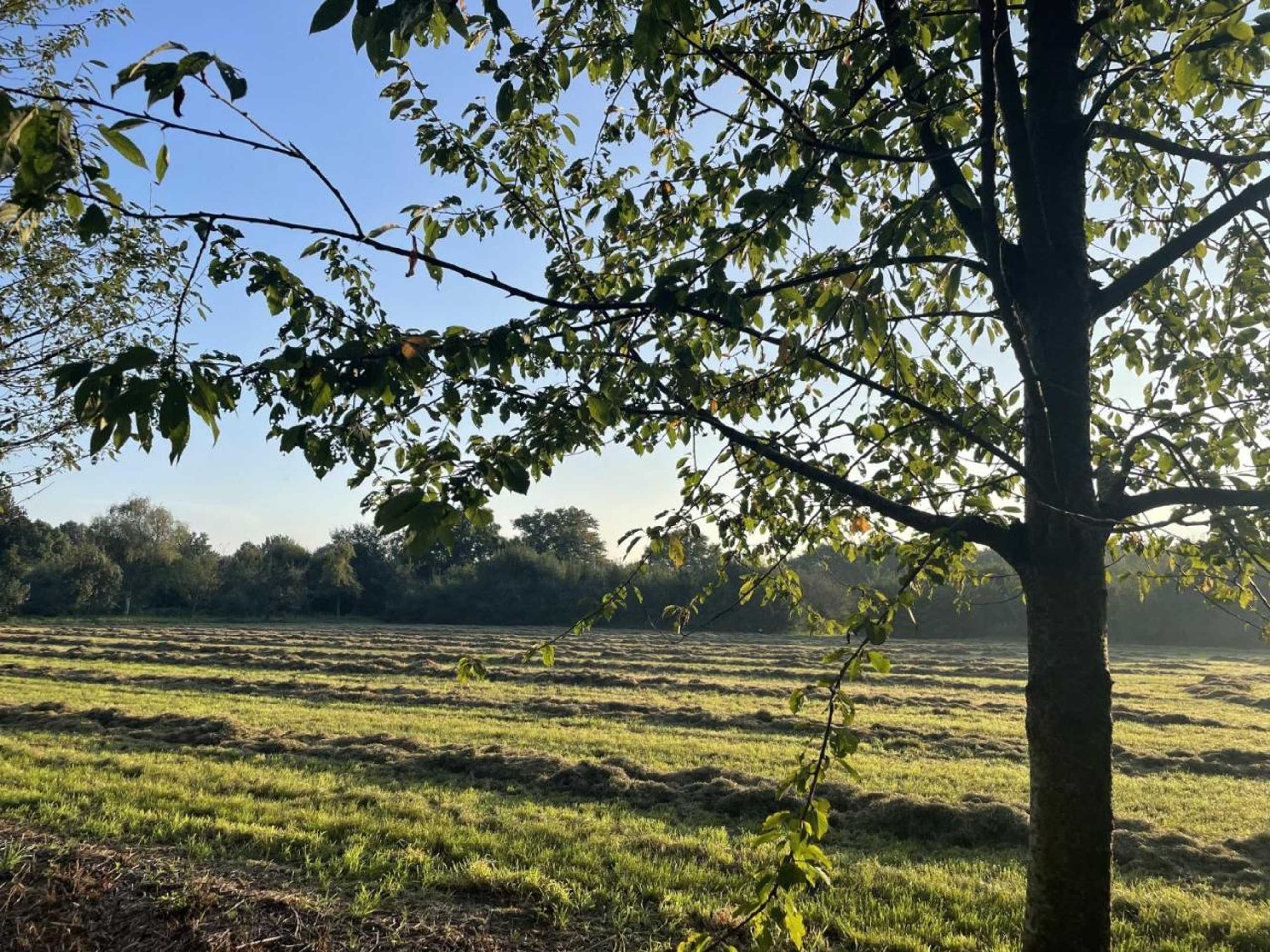 Gift card for Familie Versantvoort