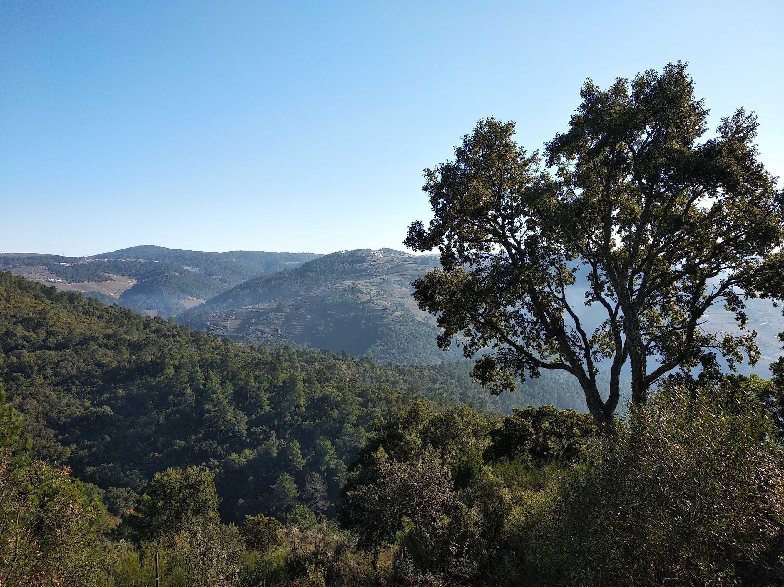 Gift card for Quinta da Telheira