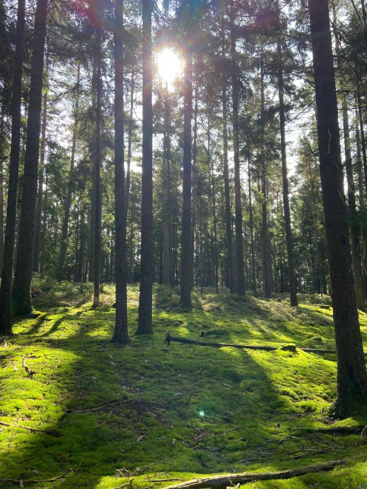 Gift card for Landgasthof Brandtner Wirt