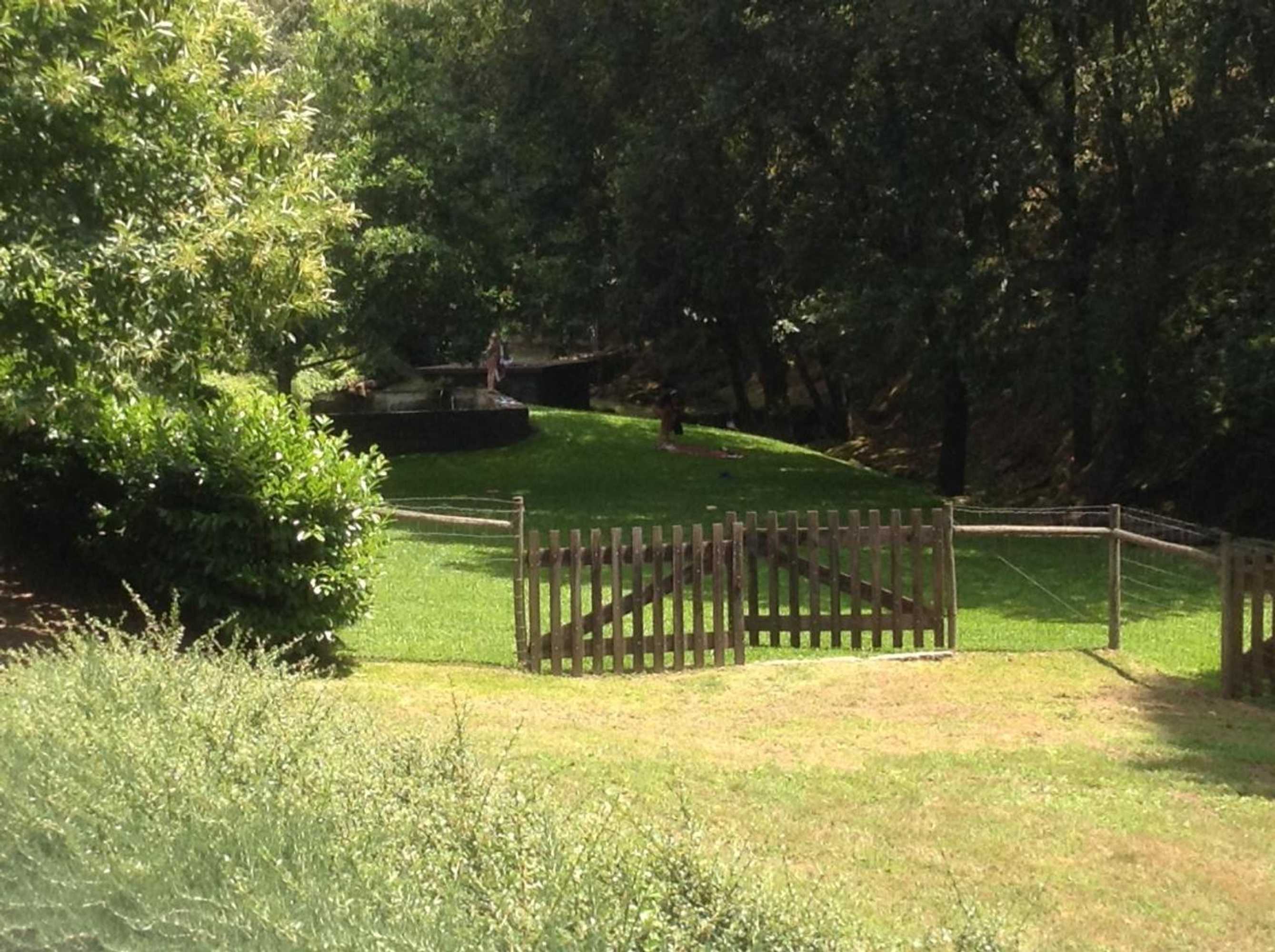 Gift card for Saberamar Little Country