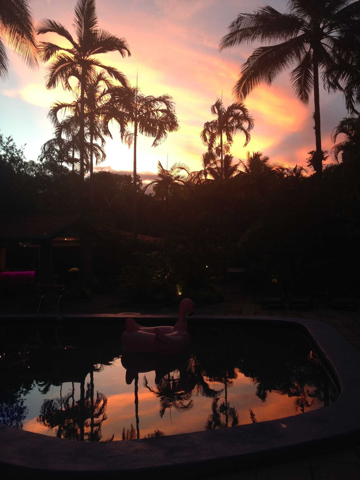Gift card for Pink Flamingo Resort Gift card for Pink Flamingo Resort