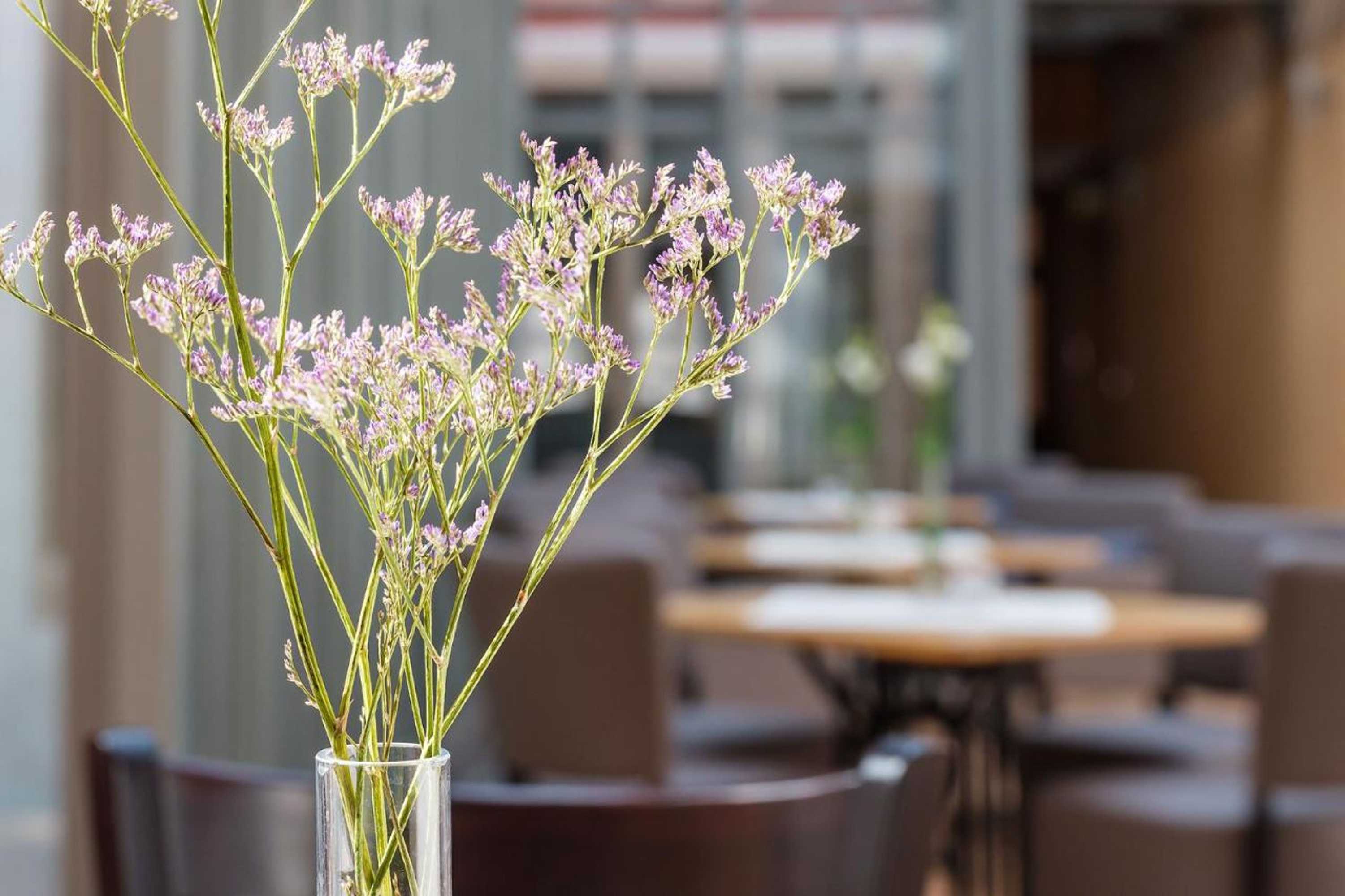 Gift card for Hotel Arminius