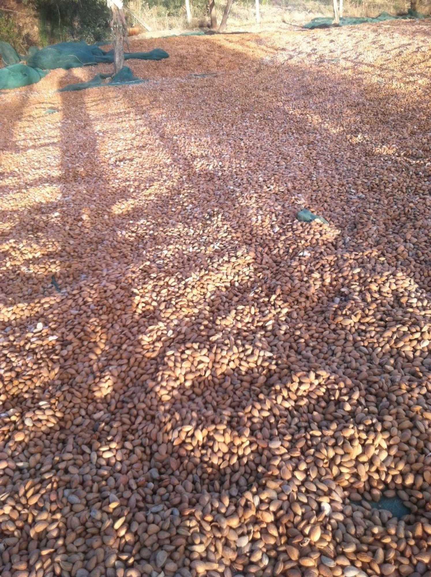 Gift card for Quintas do Valbom e Cuco