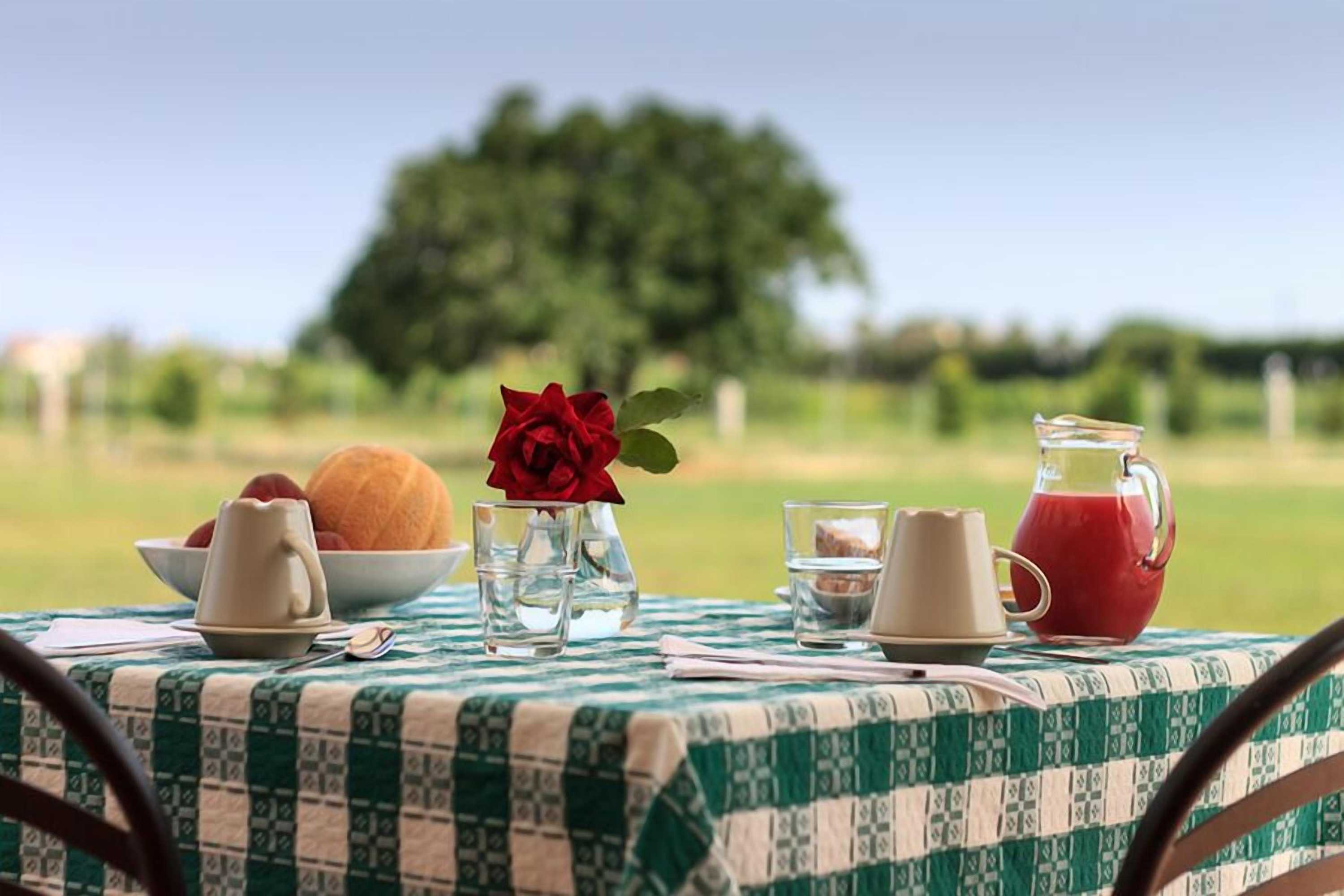 Gift card for Agriturismo Il Gelsomino Ritrovato Gift card for Agriturismo Il Gelsomino Ritrovato
