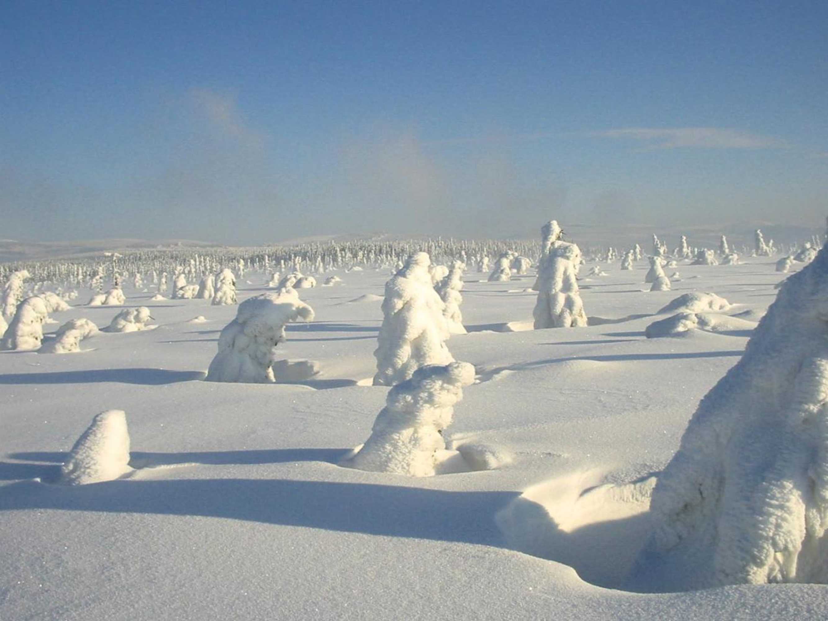 Gift card for Apartmány Hotelu Ostrý