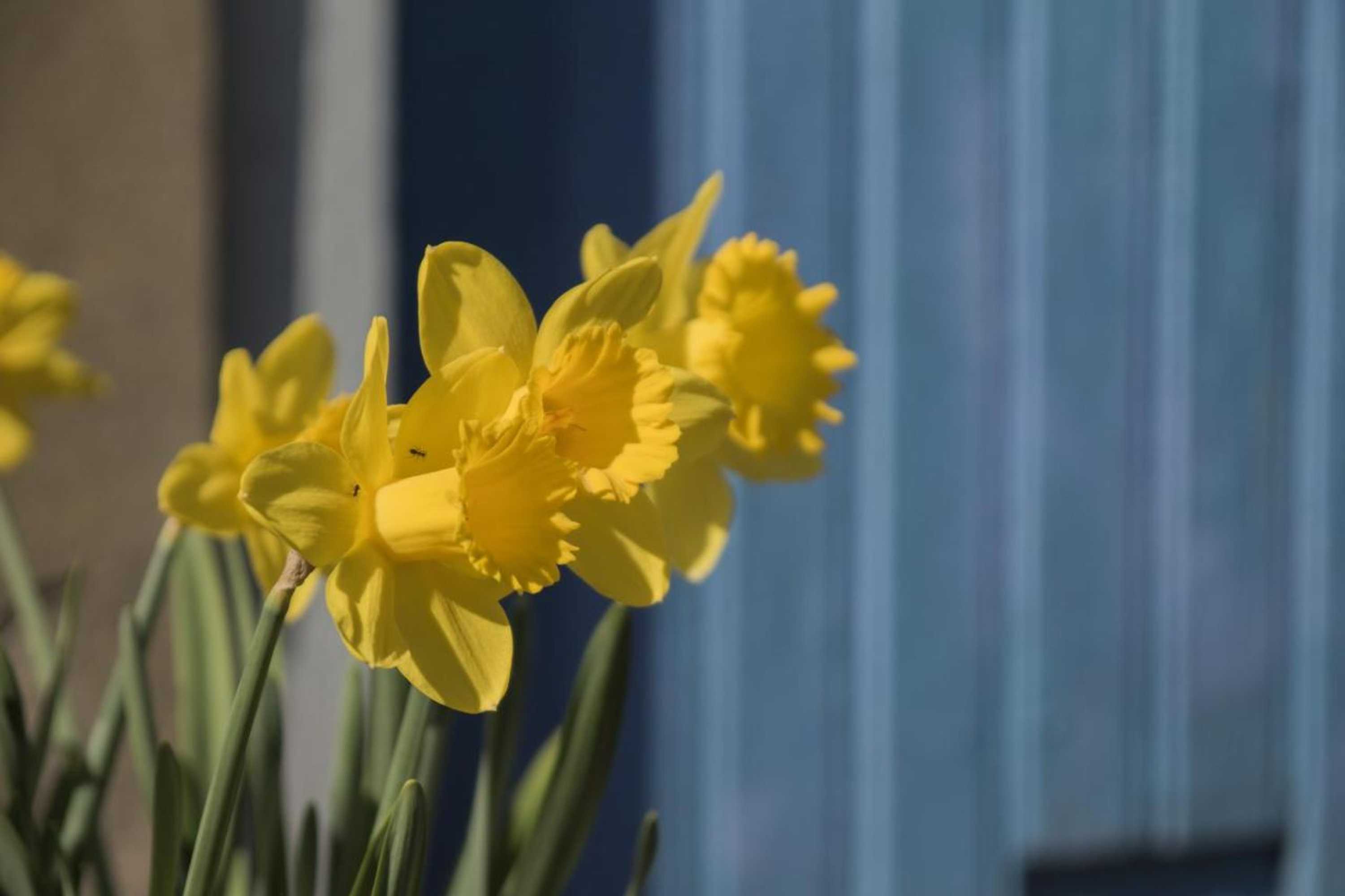 Gift card for B&b Van Beijden