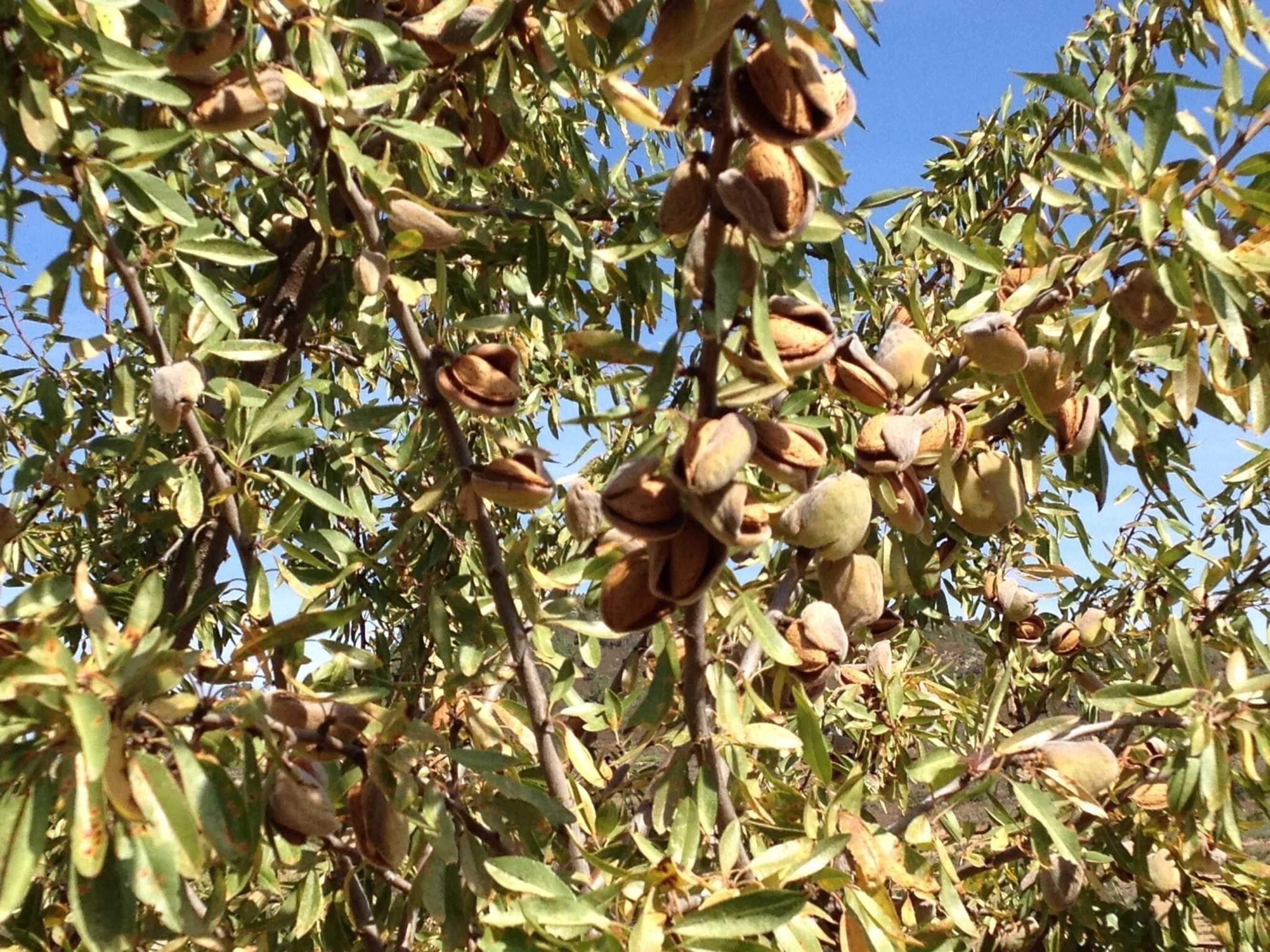 Gift card for Quinta da Pereira