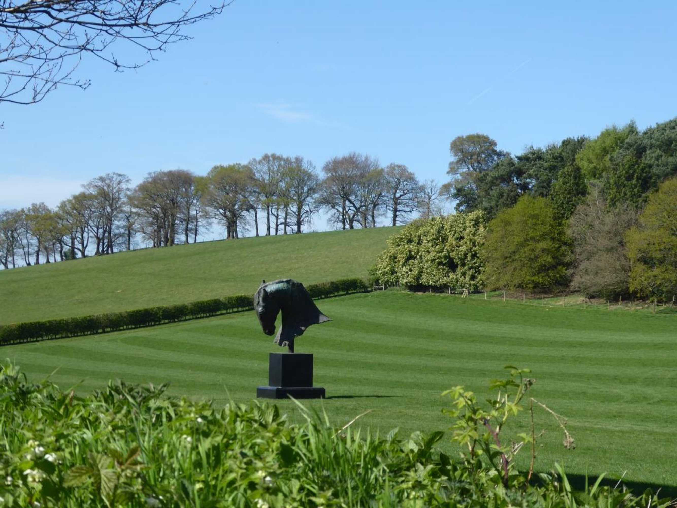 Gift card for Orchard Paddocks