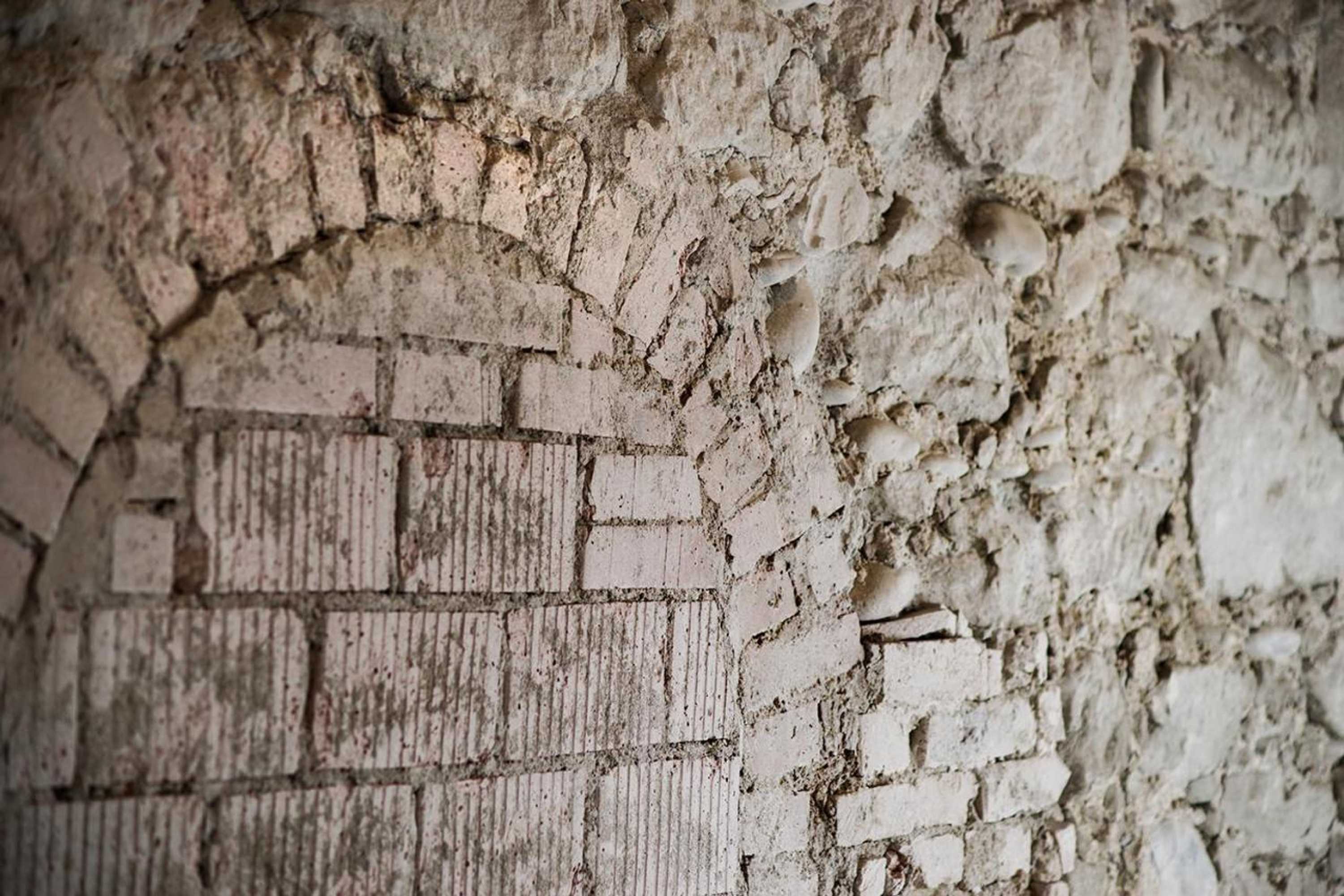 Gift card for Gasthaus Zum Trauben