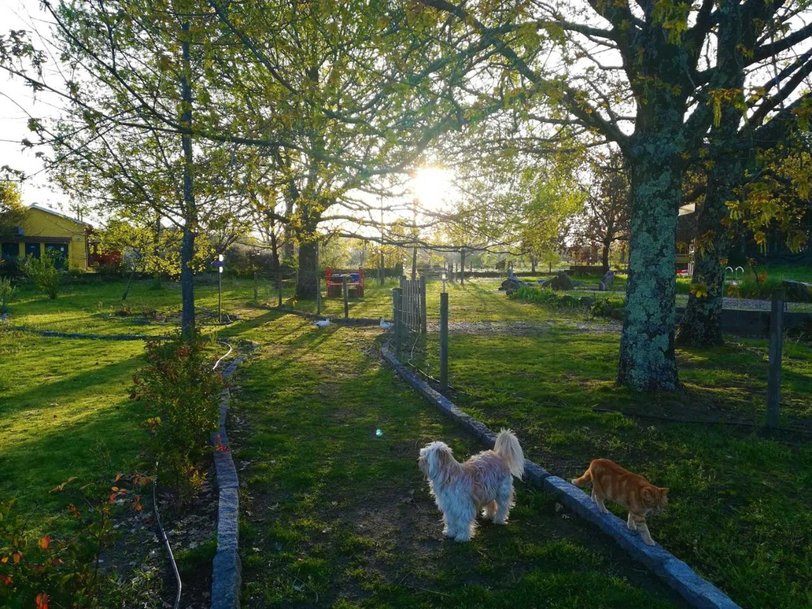 Gift card for Casa Das Palmeiras - Pedagogic Farm Gift card for Casa Das Palmeiras - Pedagogic Farm