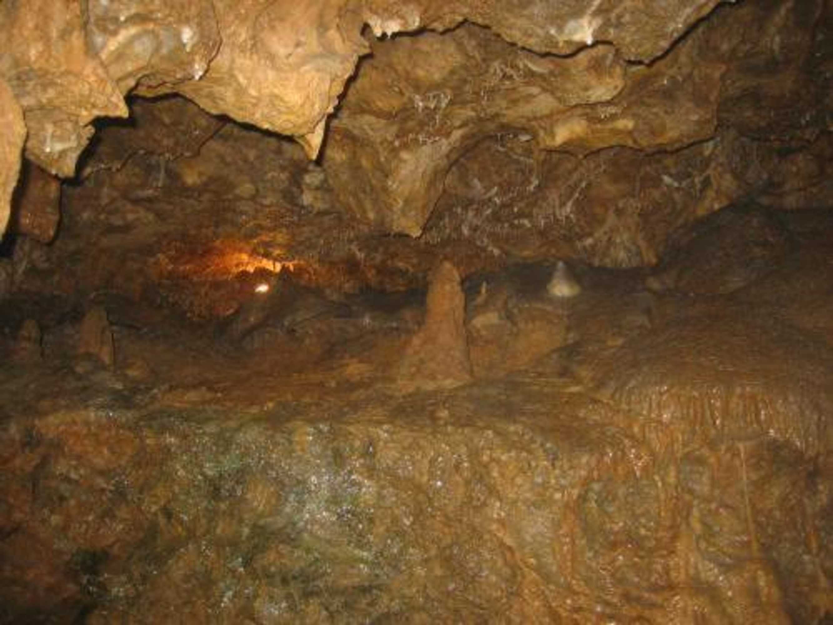 Gift card for Waldhotel Tropfsteinhöhle