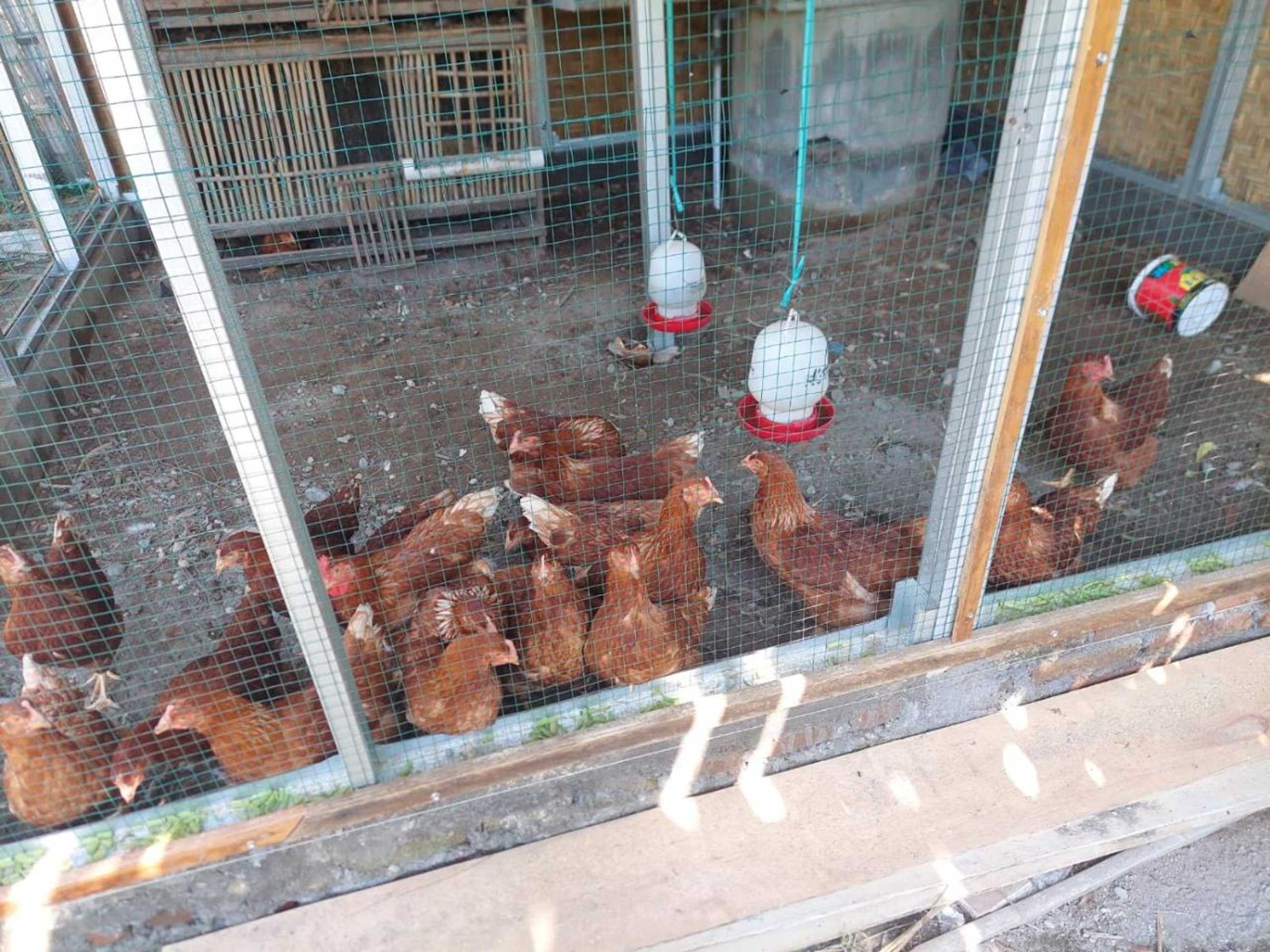 Gift card for Kondo Villa