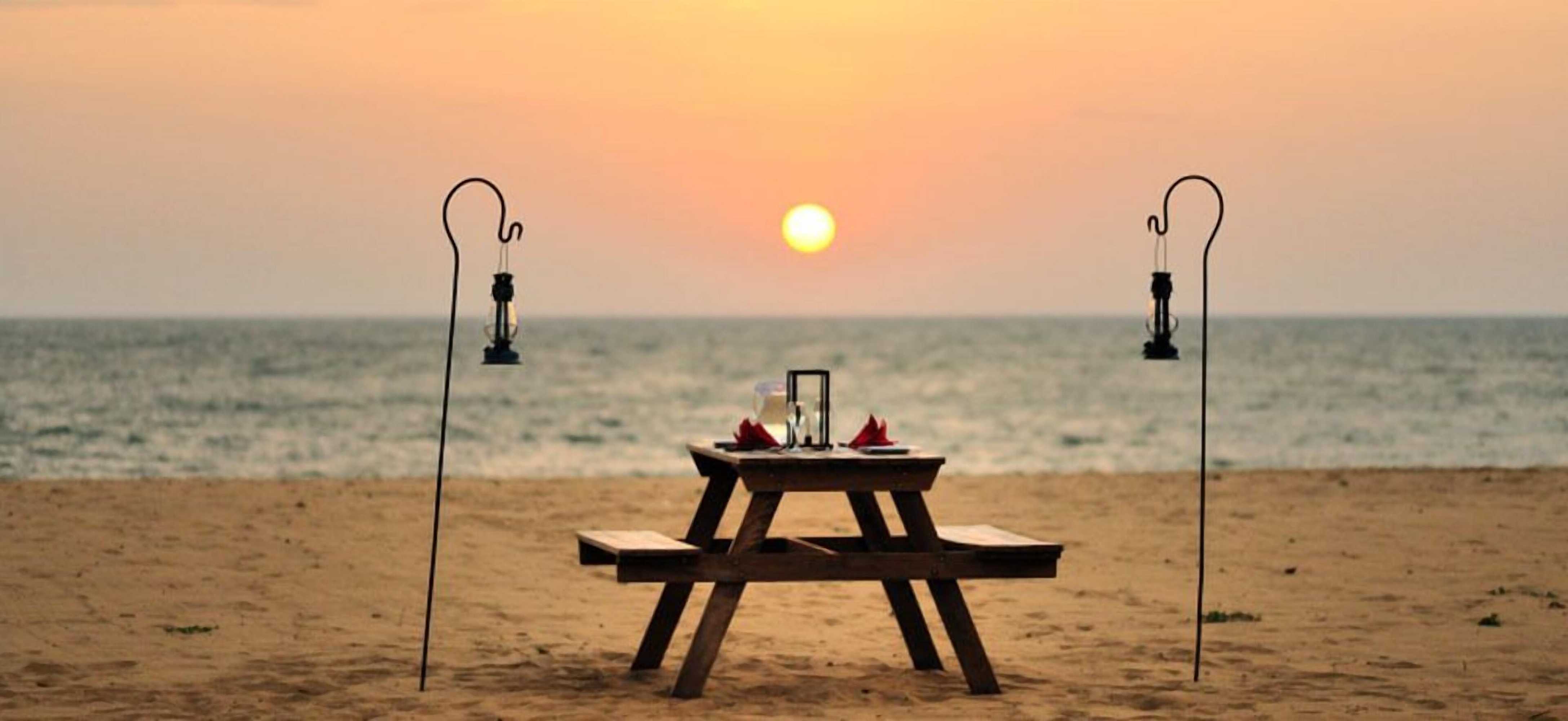 Gift card for Dolphin Beach Kalpitiya Gift card for Dolphin Beach Kalpitiya
