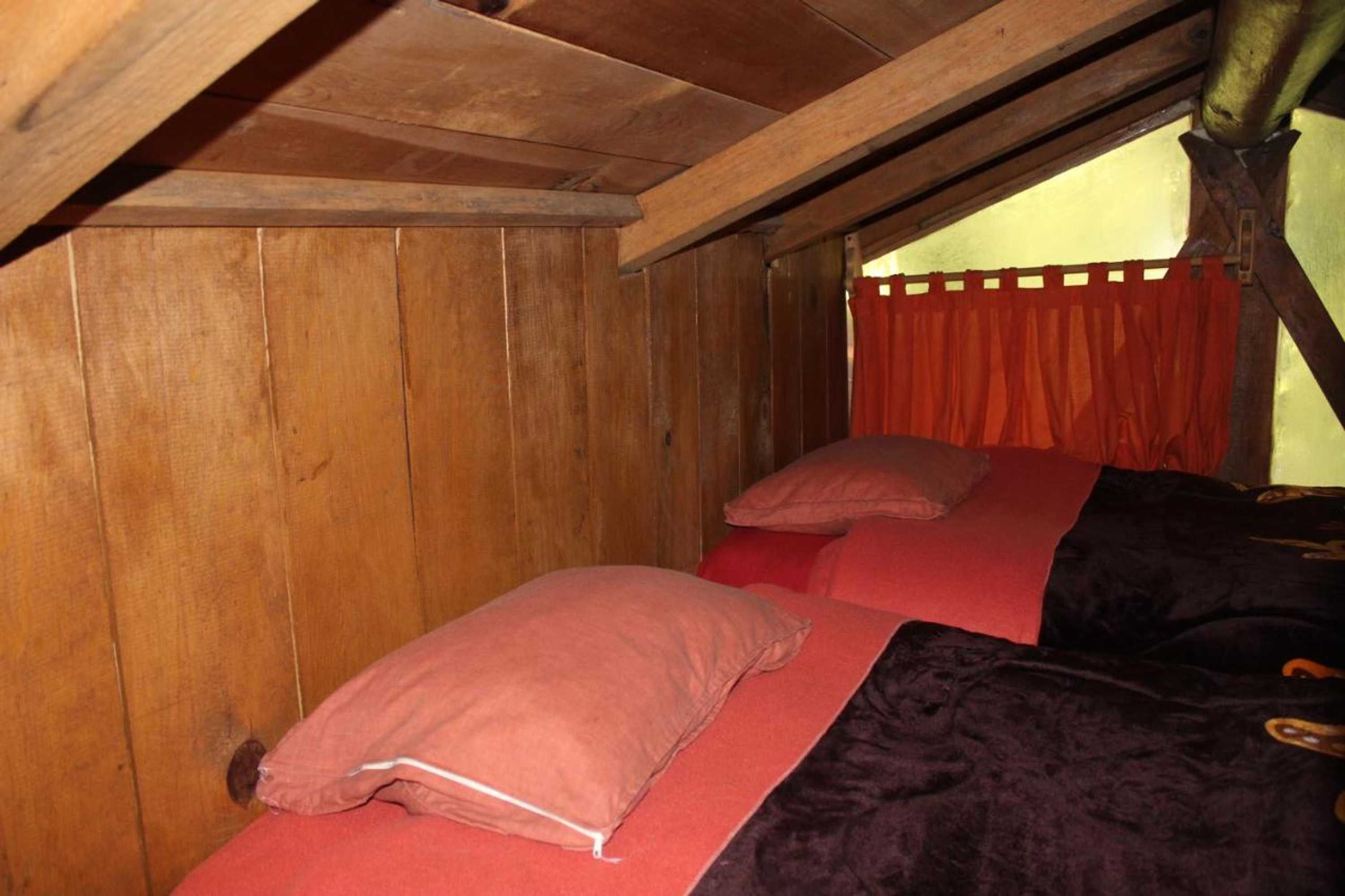 Gift card for Cabañas Alpinas López Fontes